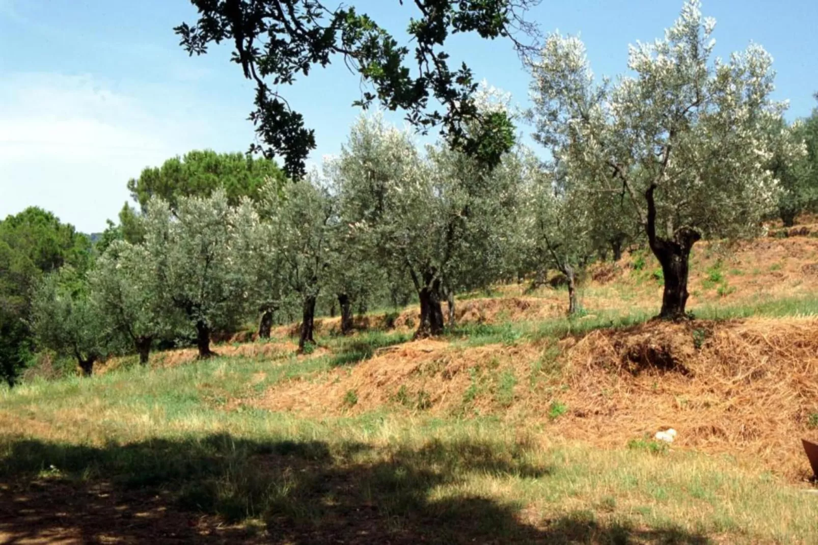 La Casa del Nonno-Gebieden zomer 20km