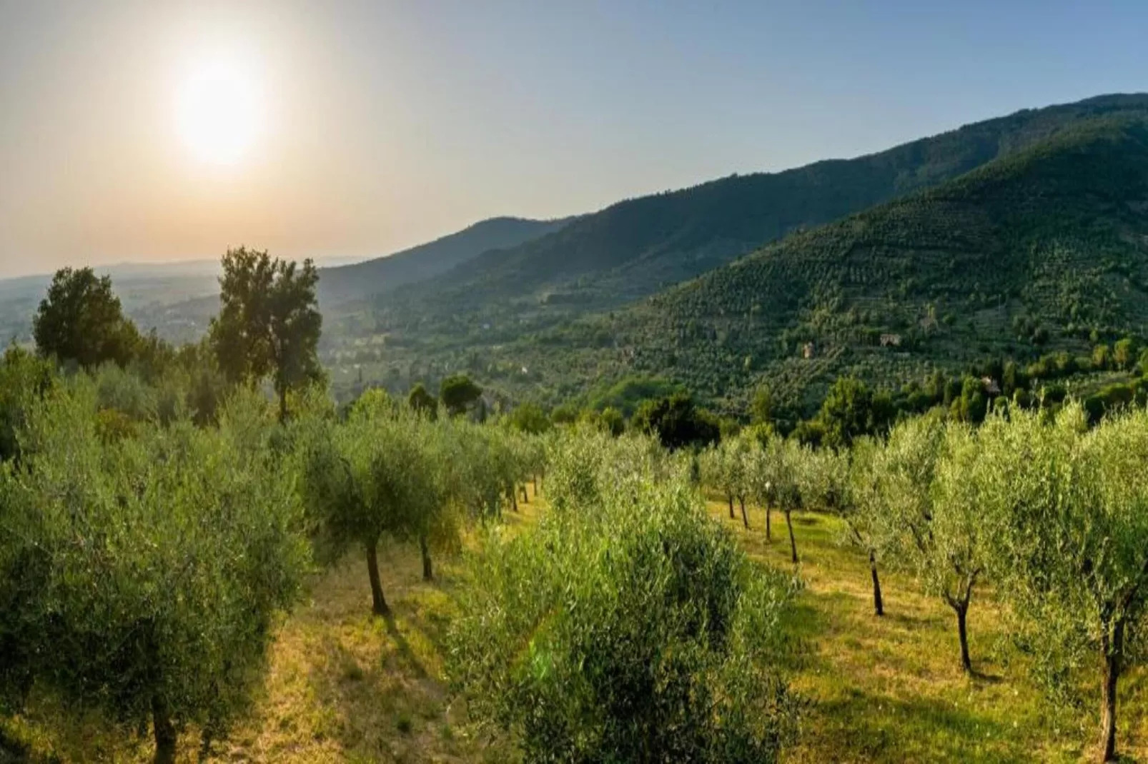 Eremo di Fieri-Gebieden zomer 5km
