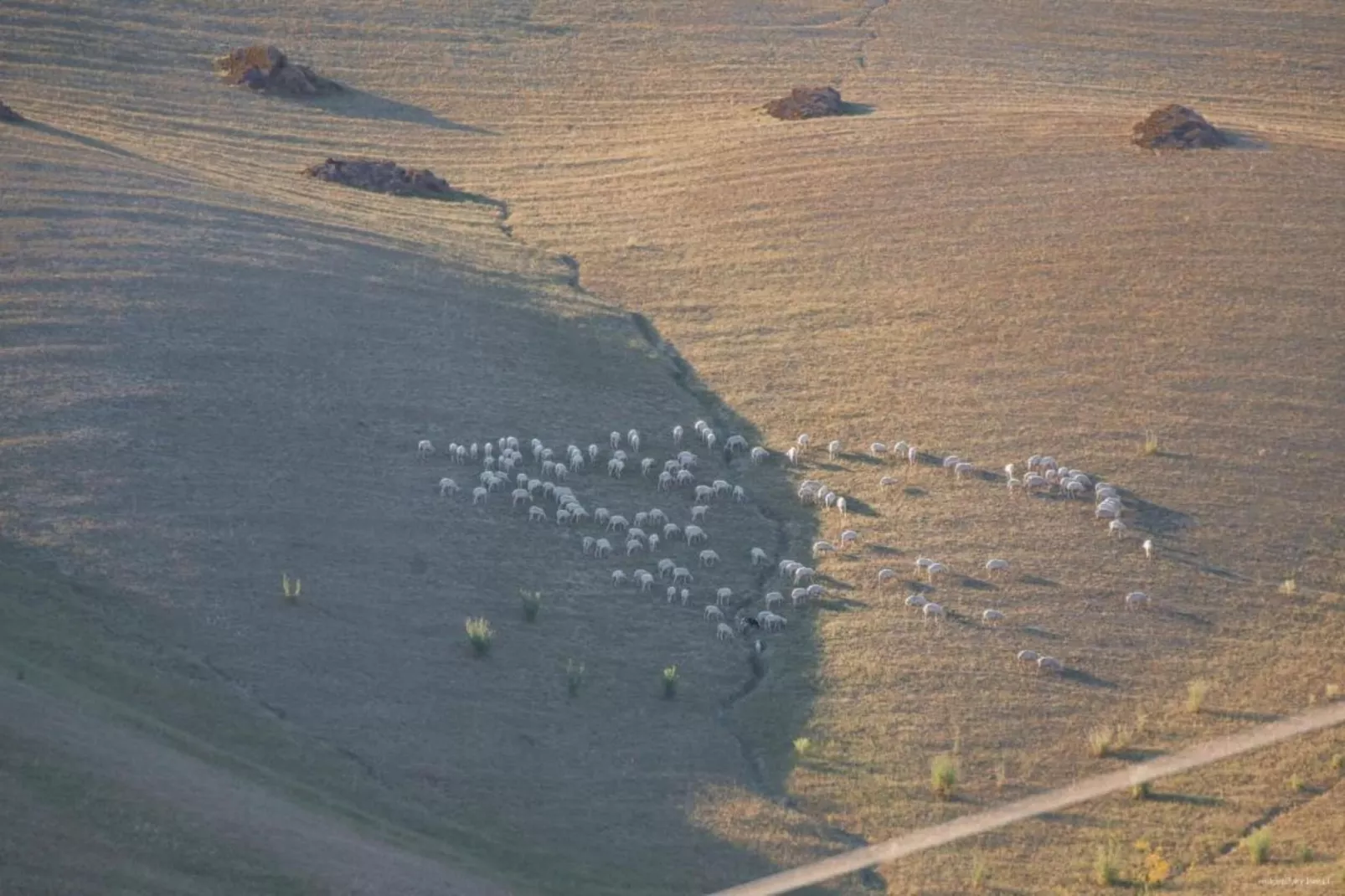 Ginestra1-Gebieden zomer 20km