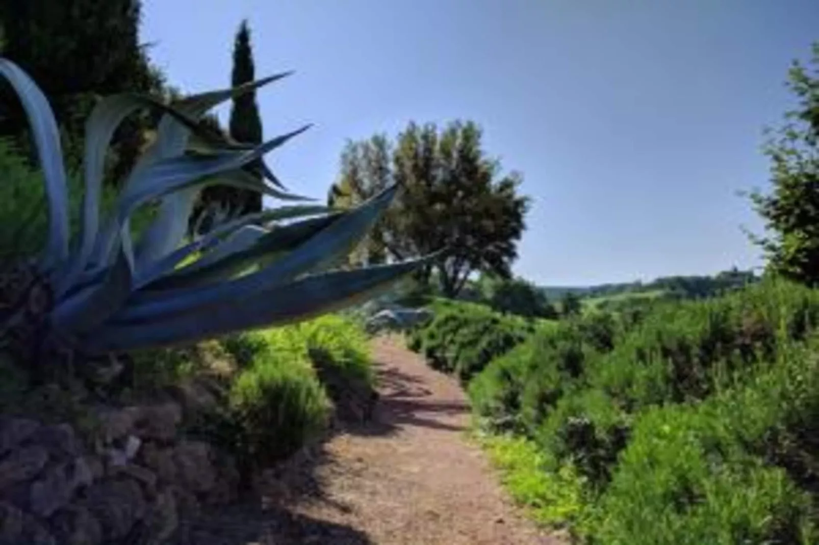 Poggio Casale-Gebieden zomer 20km