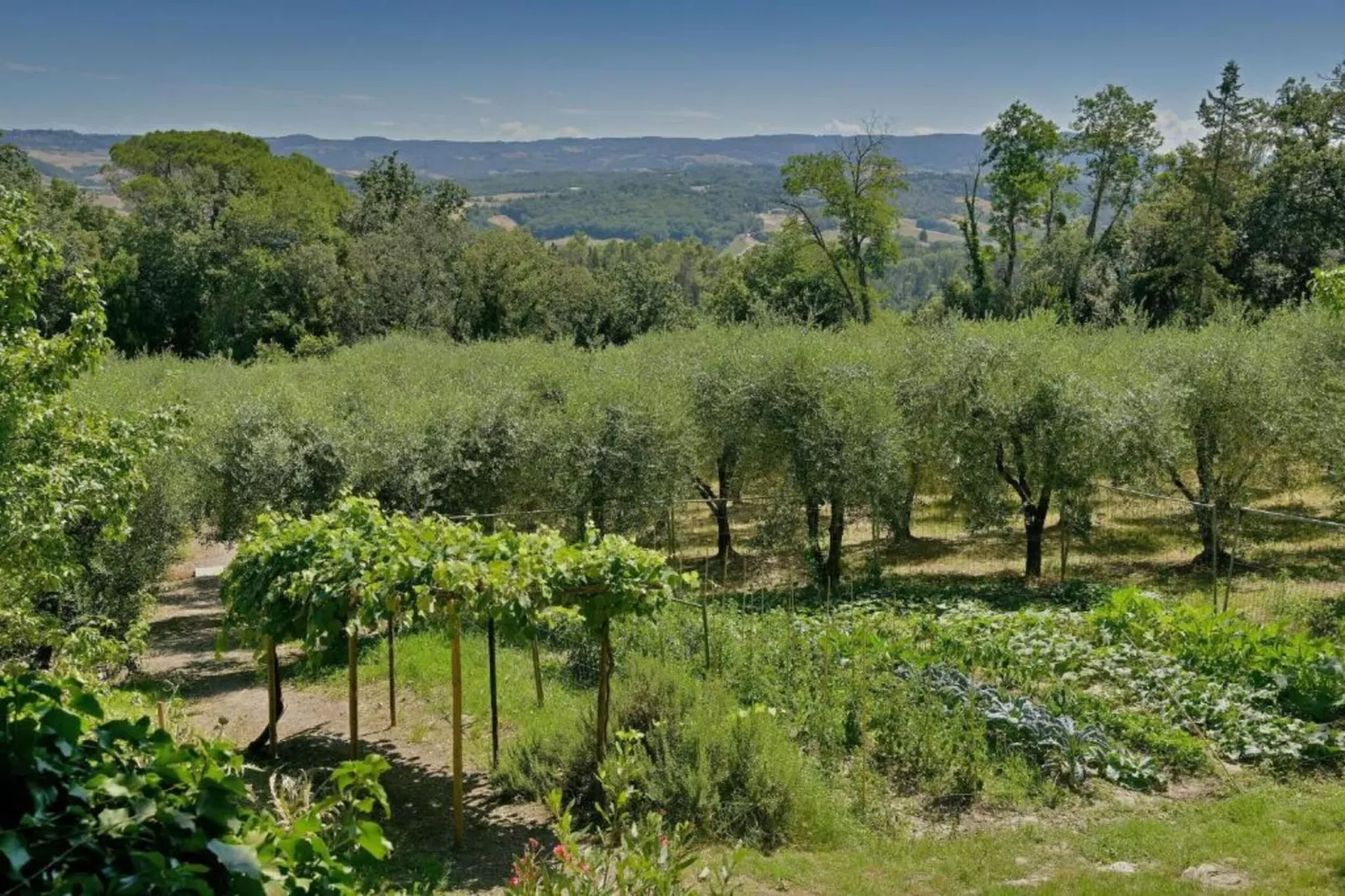 Villa Celli-Gebieden zomer 5km