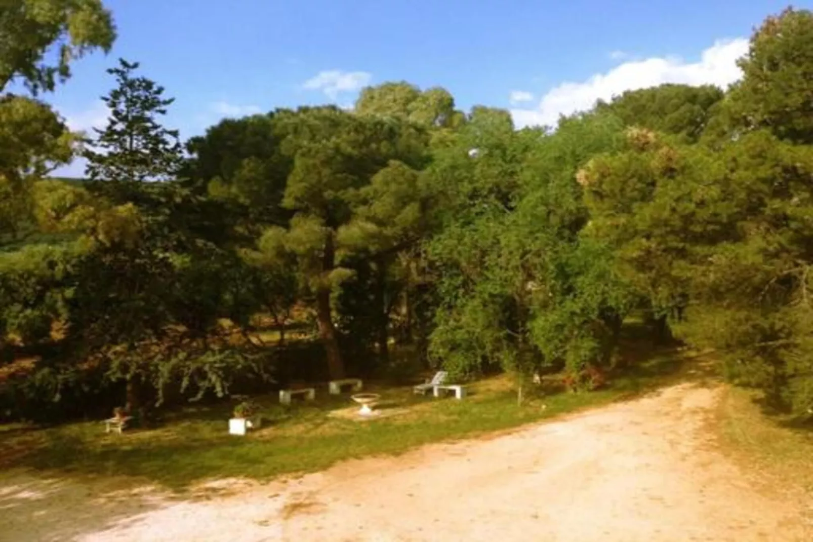 Il Tesoro-Gebieden zomer 20km