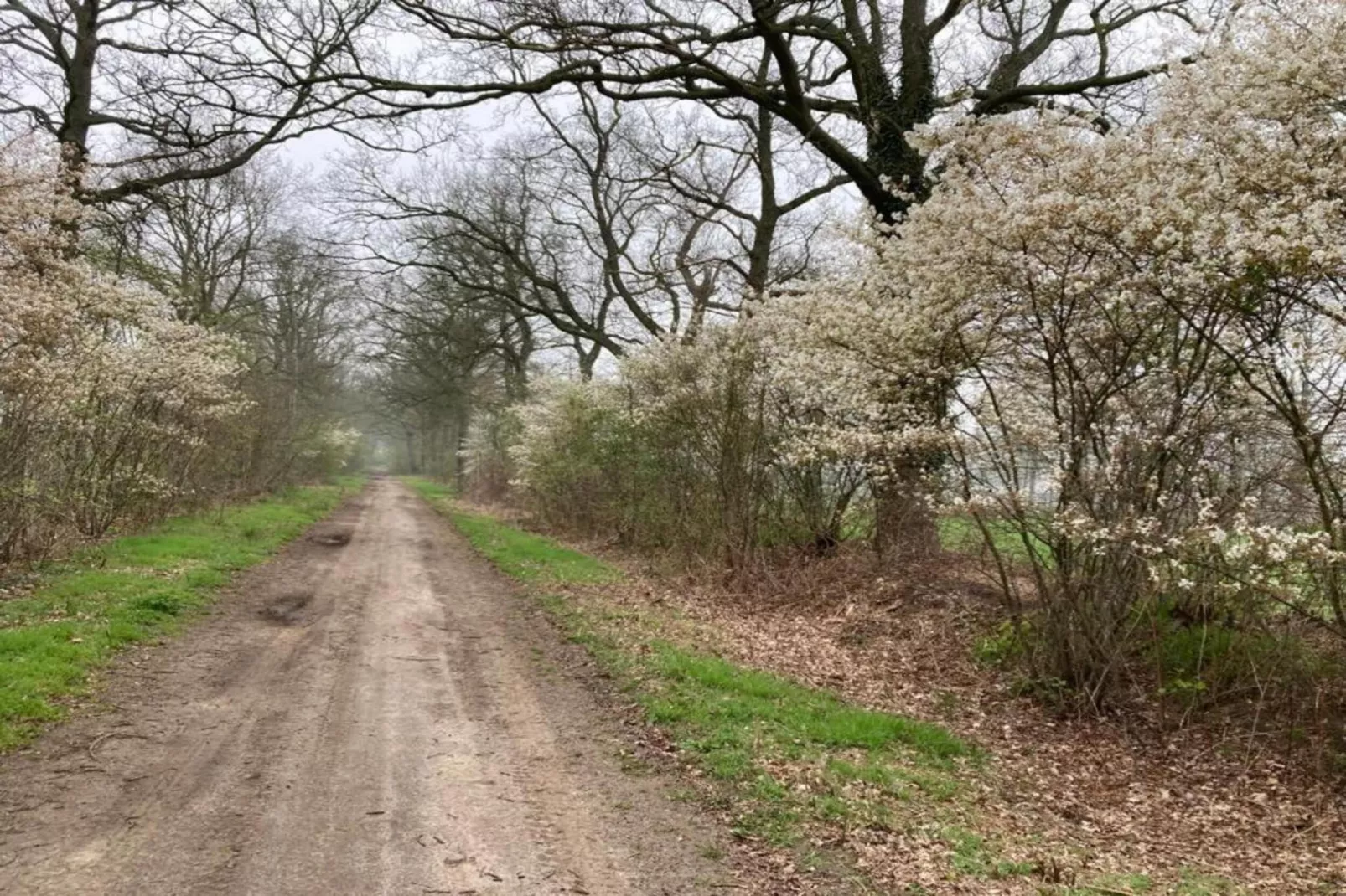 Tuinpad-Gebieden zomer 20km