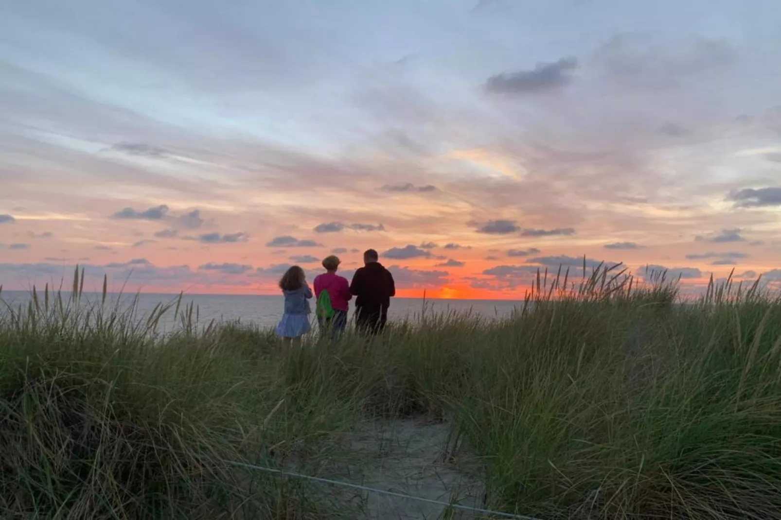 Residentie Californië 9-Gebieden zomer 20km