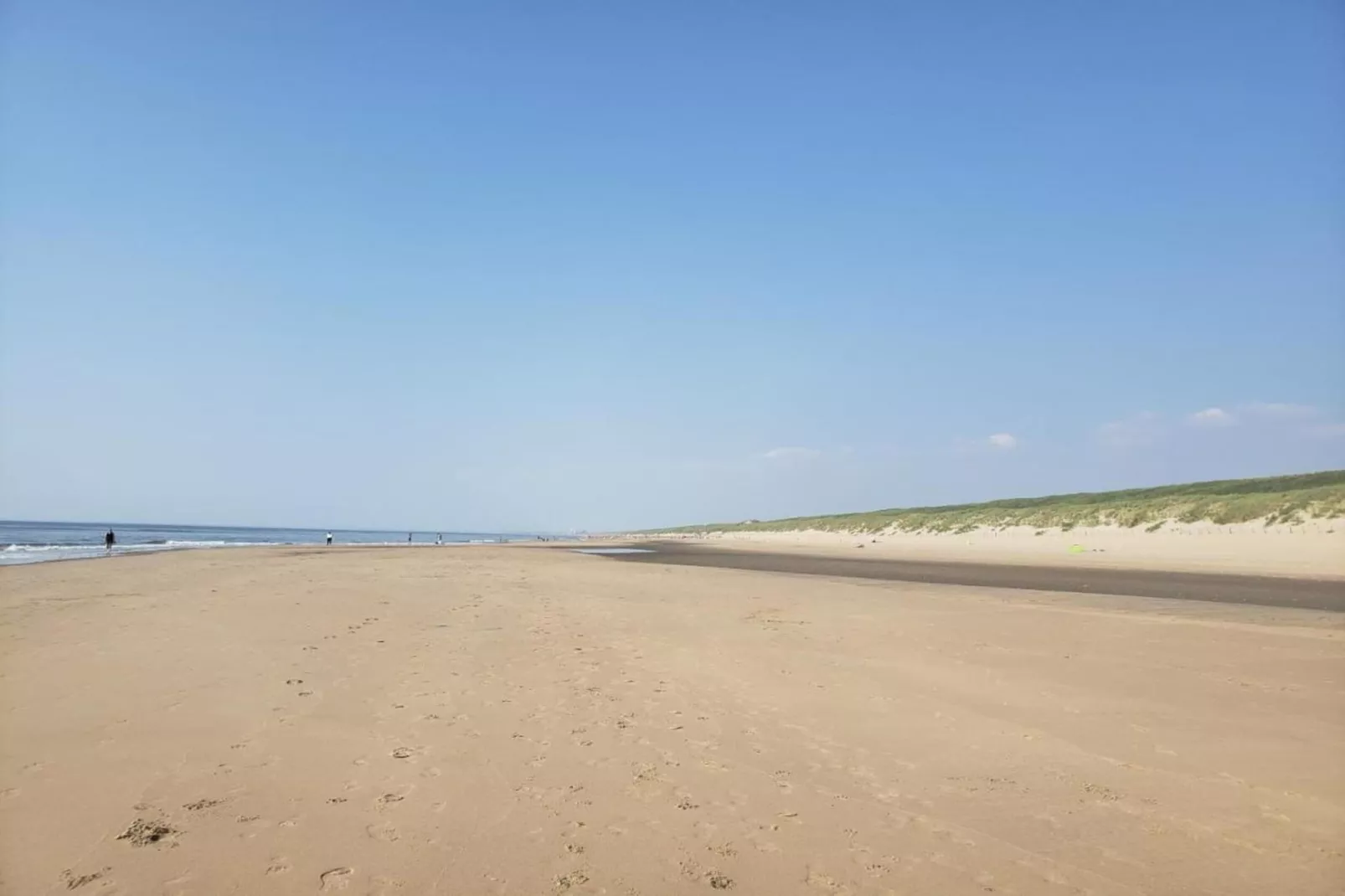 Bos-Lodge-Gebieden zomer 20km