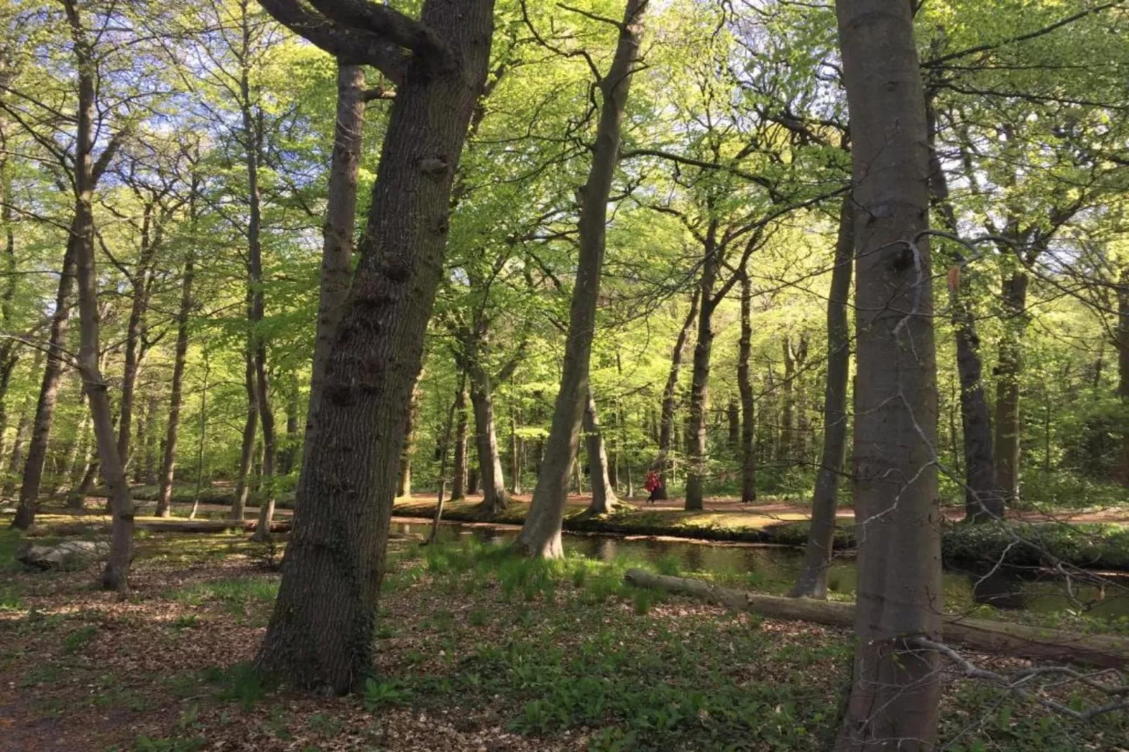 Het Roefje-Gebieden zomer 20km