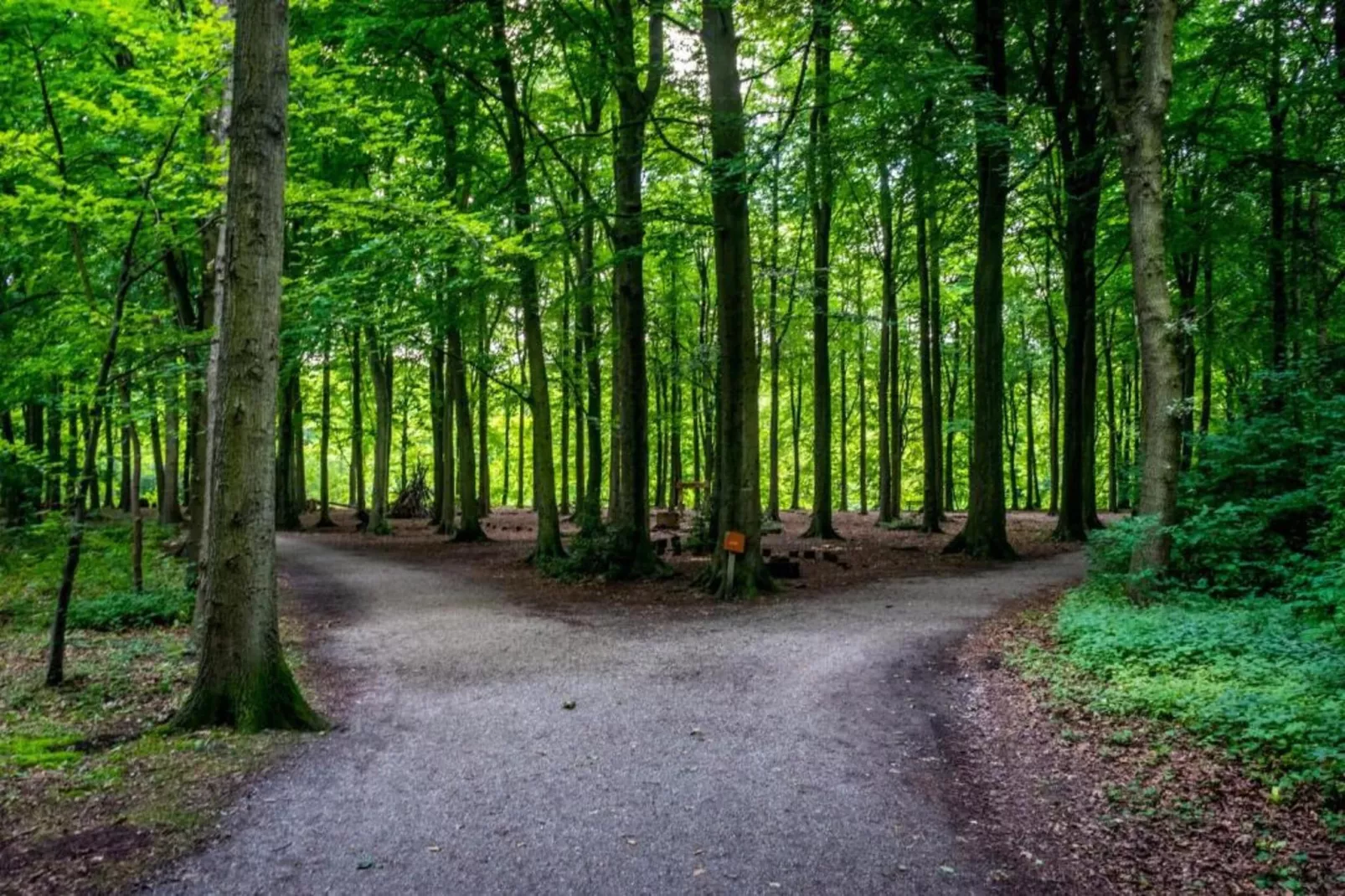Vakantiepark Kijkduin 11-Gebieden zomer 20km