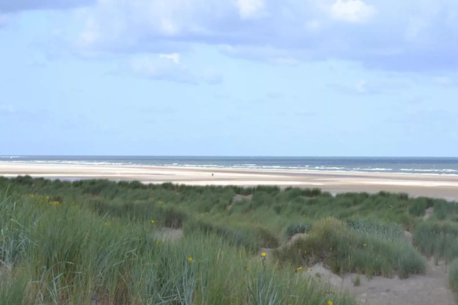 Strandpark Duynhille 5-Gebieden zomer 1km