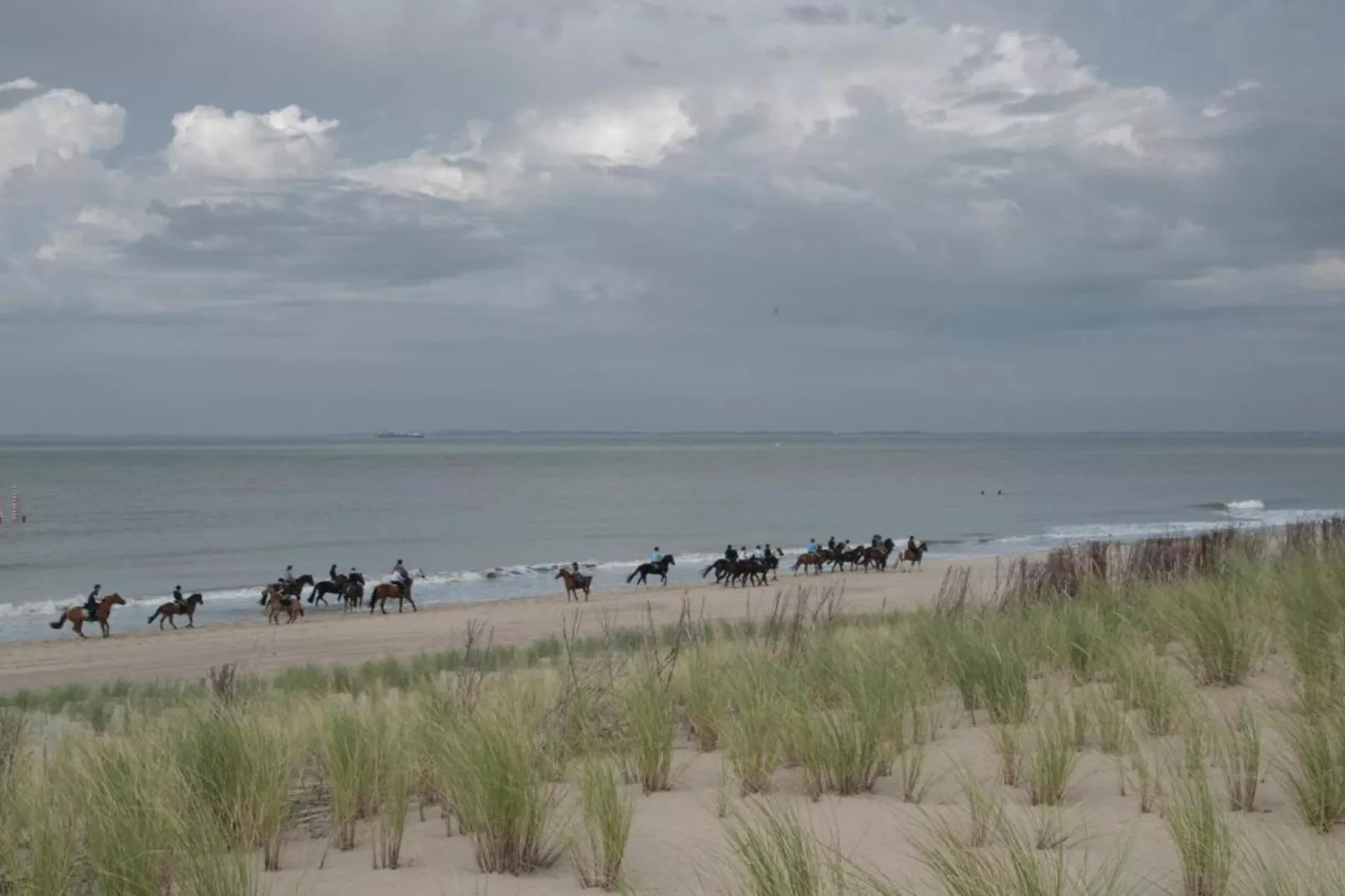 Groot Hof ter Zand-Gebieden zomer 20km