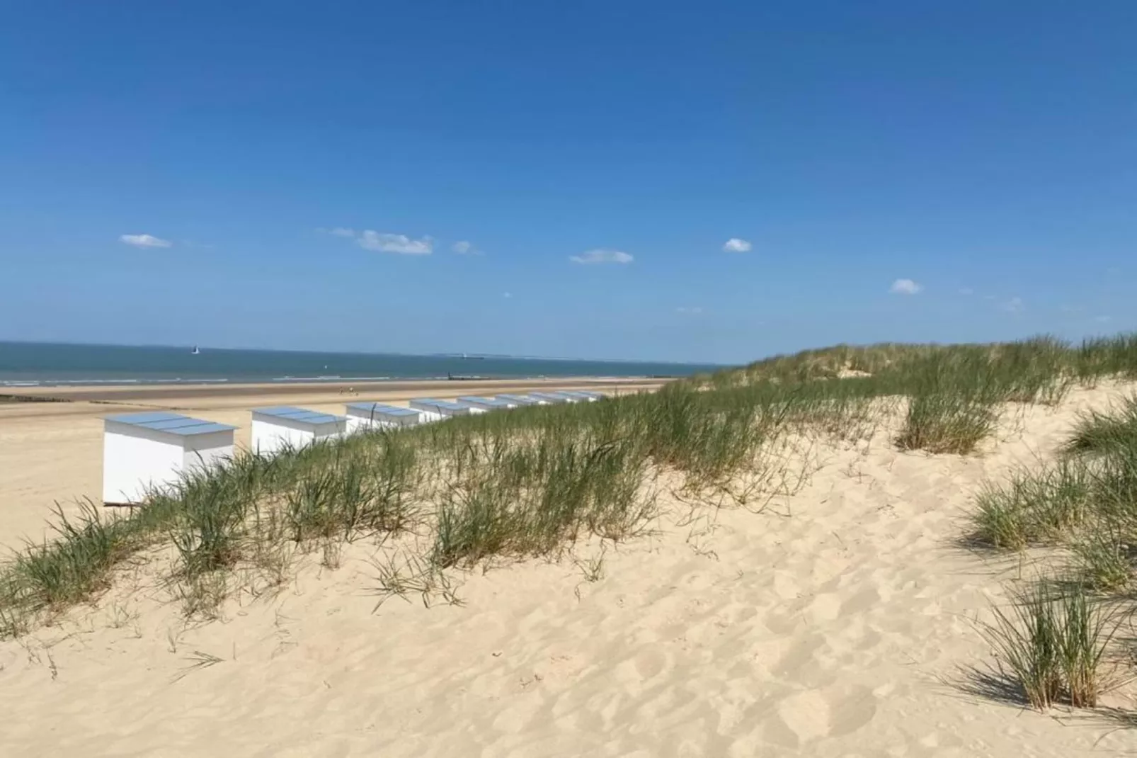 Hof 't Suytsant Conference-Gebieden zomer 20km