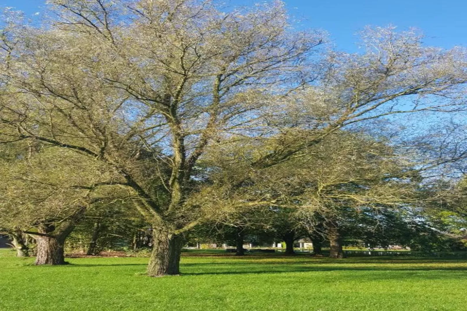 Parc de Kievit 3 - Gebieden zomer 20km