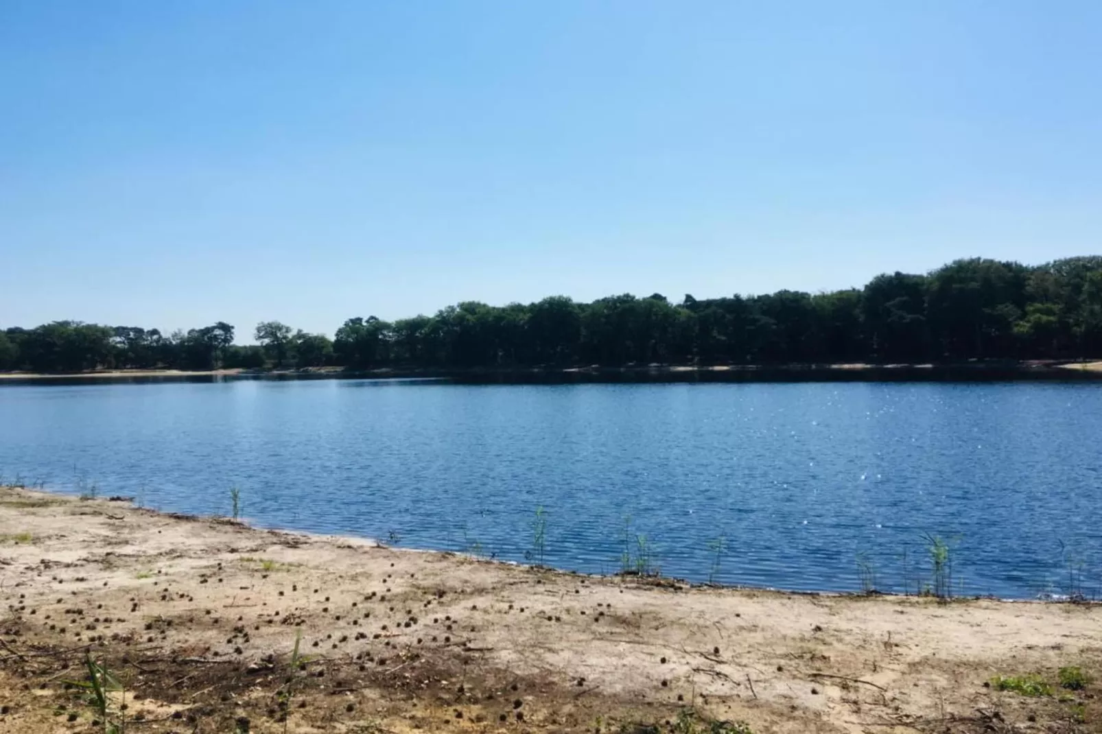 Maaspark Boschmolenplas - Vennenblik-Gebieden zomer 20km