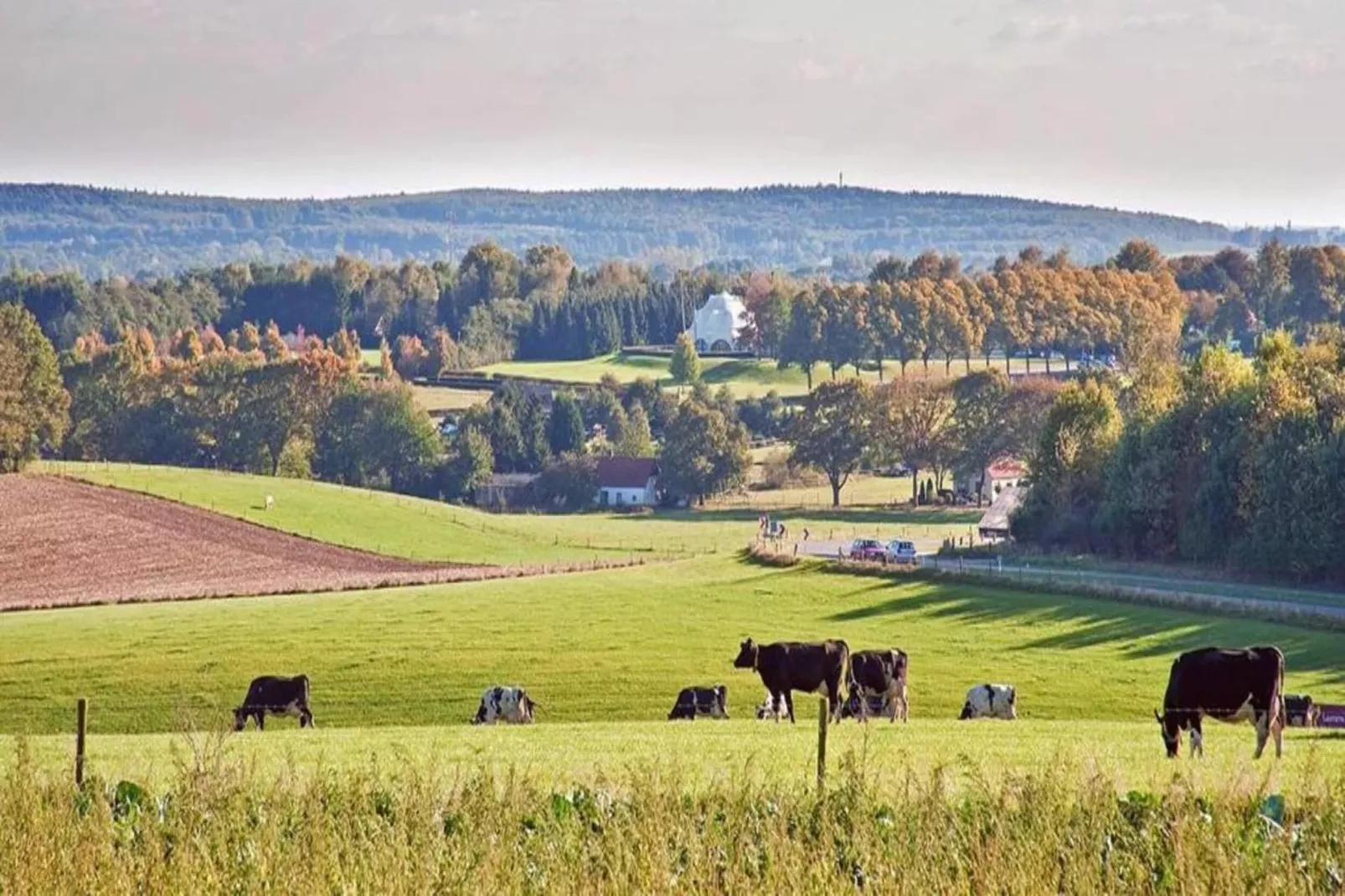 Vakantie bij Meeussen - Schuttersoord 4-Gebieden zomer 20km