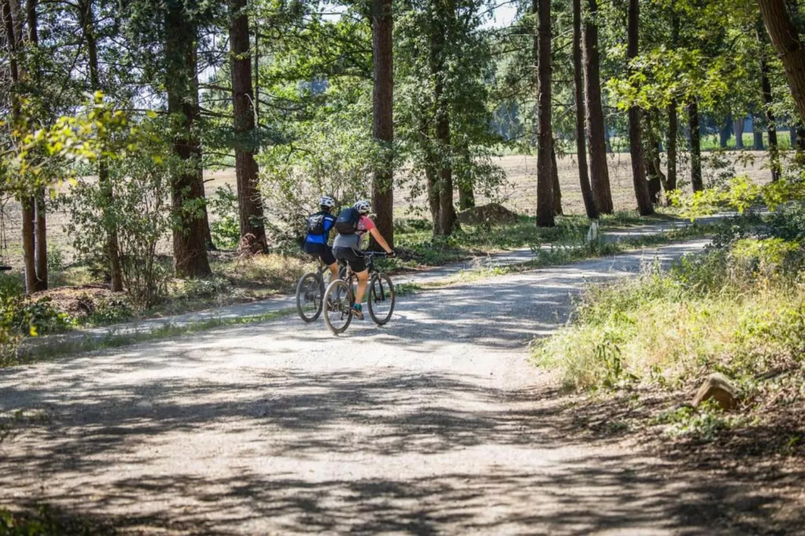 't Kokhuus-Gebieden zomer 20km