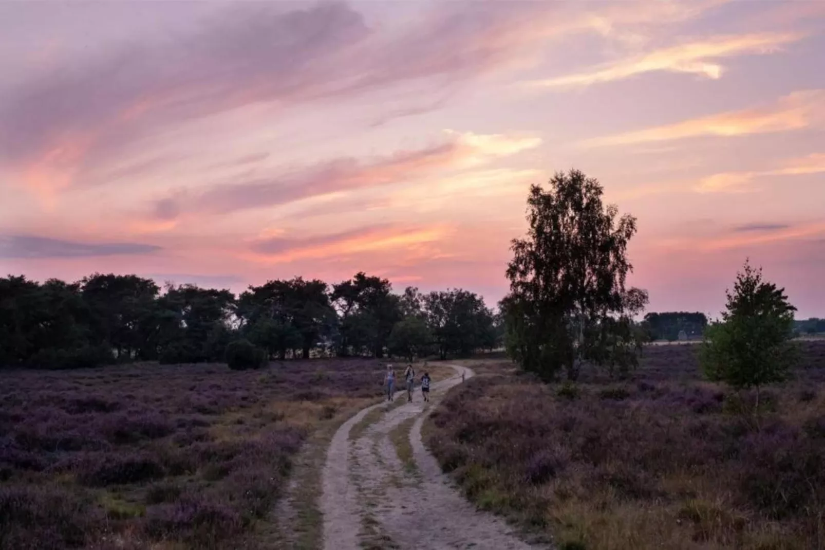 Buitenplaats Holten 10-Gebieden zomer 5km