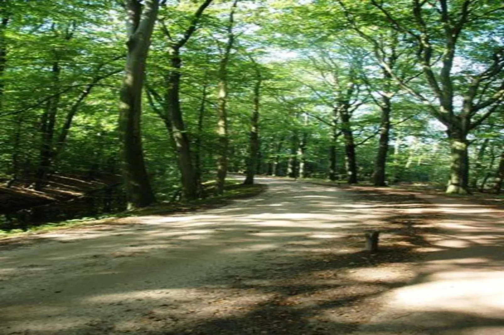 Vakantiecentrum 't Schuttenbelt 7-Gebieden zomer 20km
