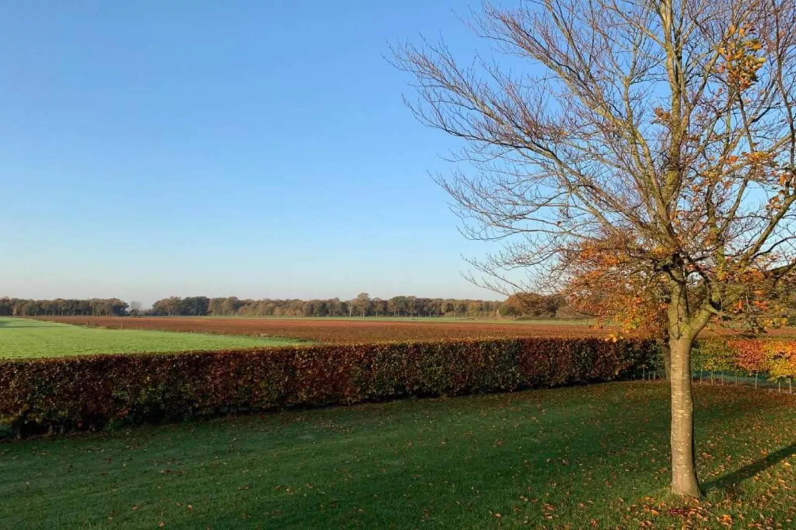 Recreatiepark Tolplas 11-Gebieden zomer 5km