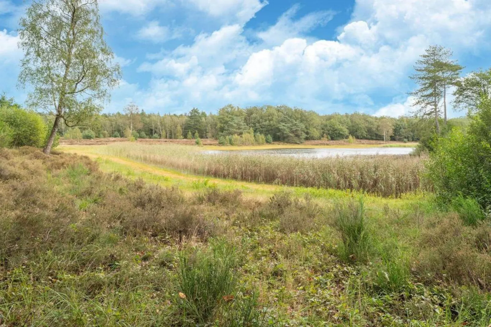 Vakantiepark Horsetellerie 1-Gebieden zomer 20km