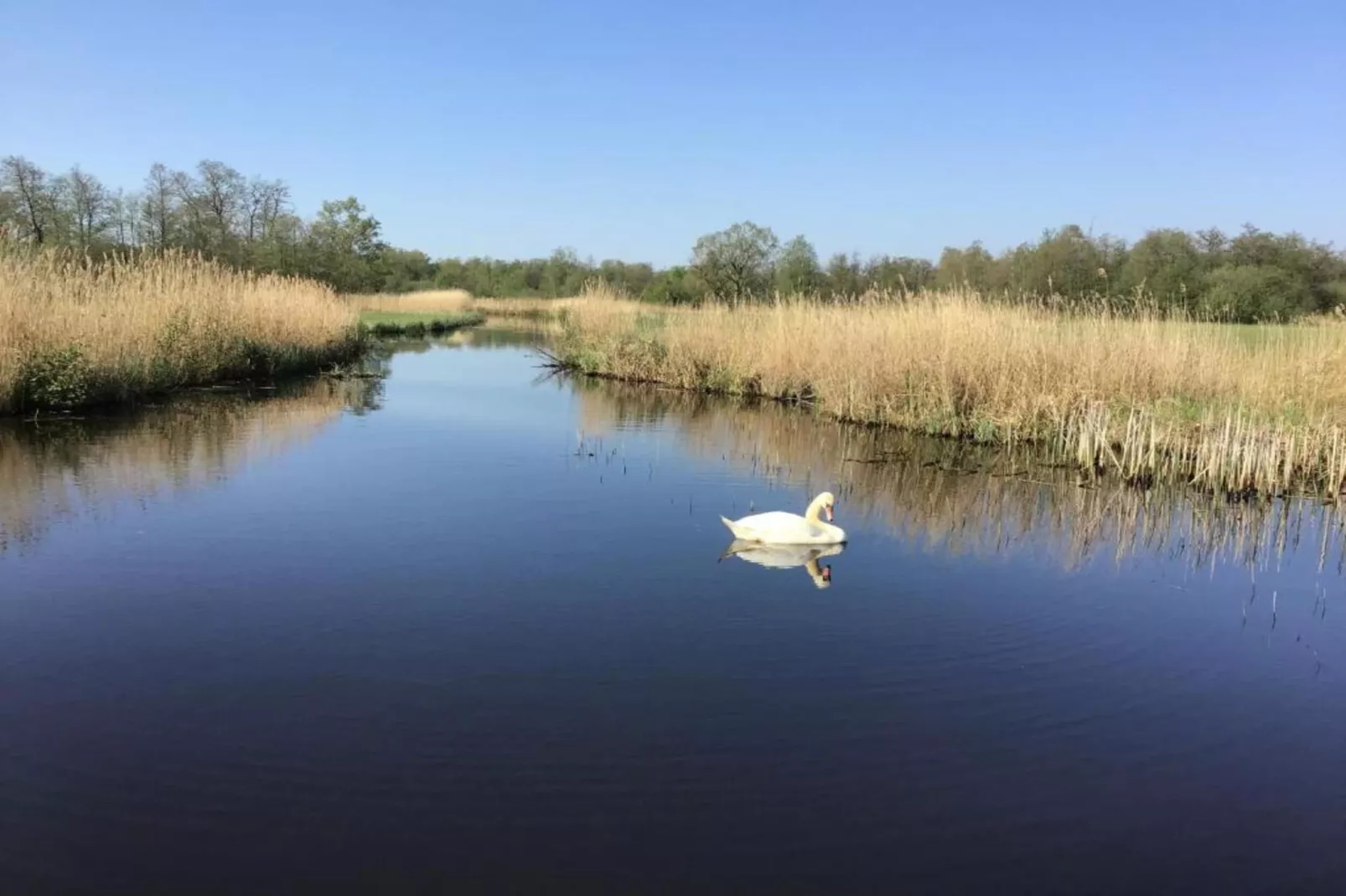 Waterpark Belterwiede 3-Gebieden zomer 20km