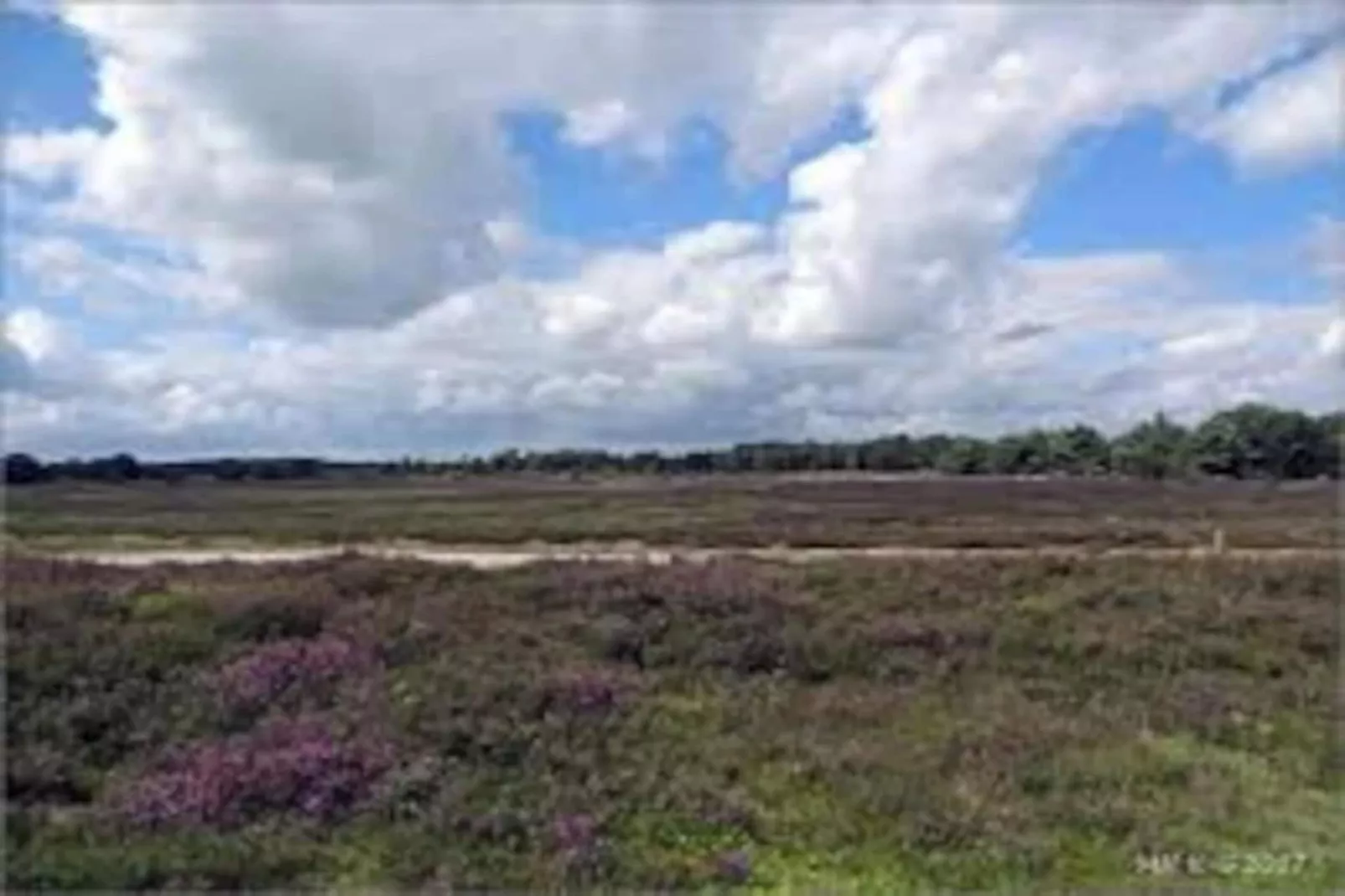 RCN Vakantiepark de Noordster 4-Gebieden zomer 20km