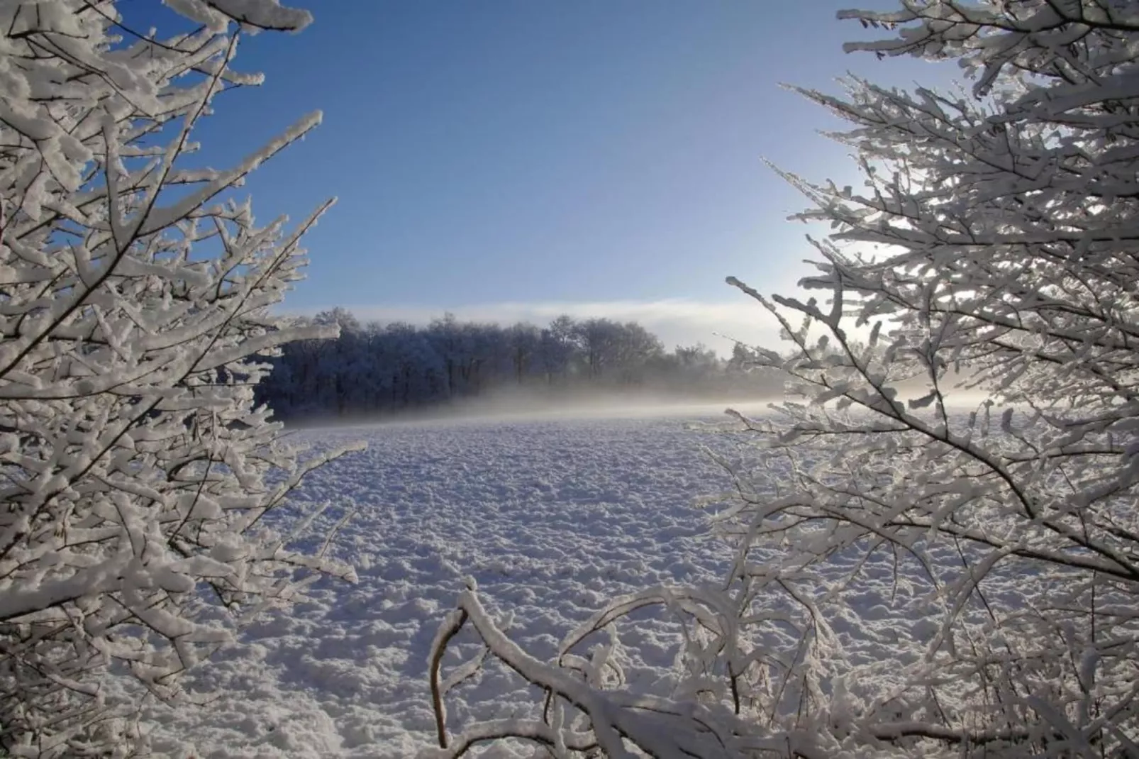 Residence De Eese 22-Gebied winter 20km