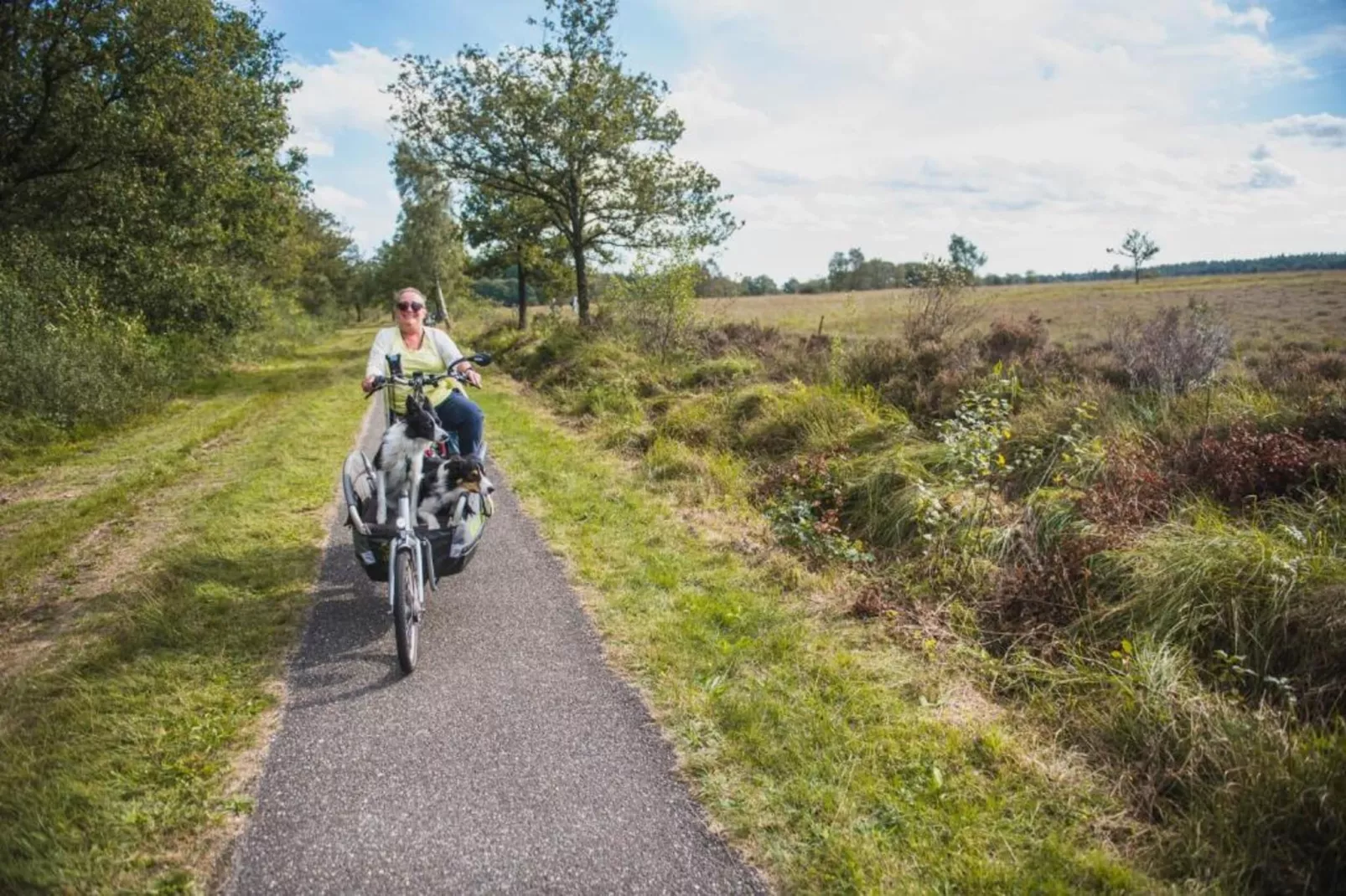 't Haske-Gebieden zomer 20km