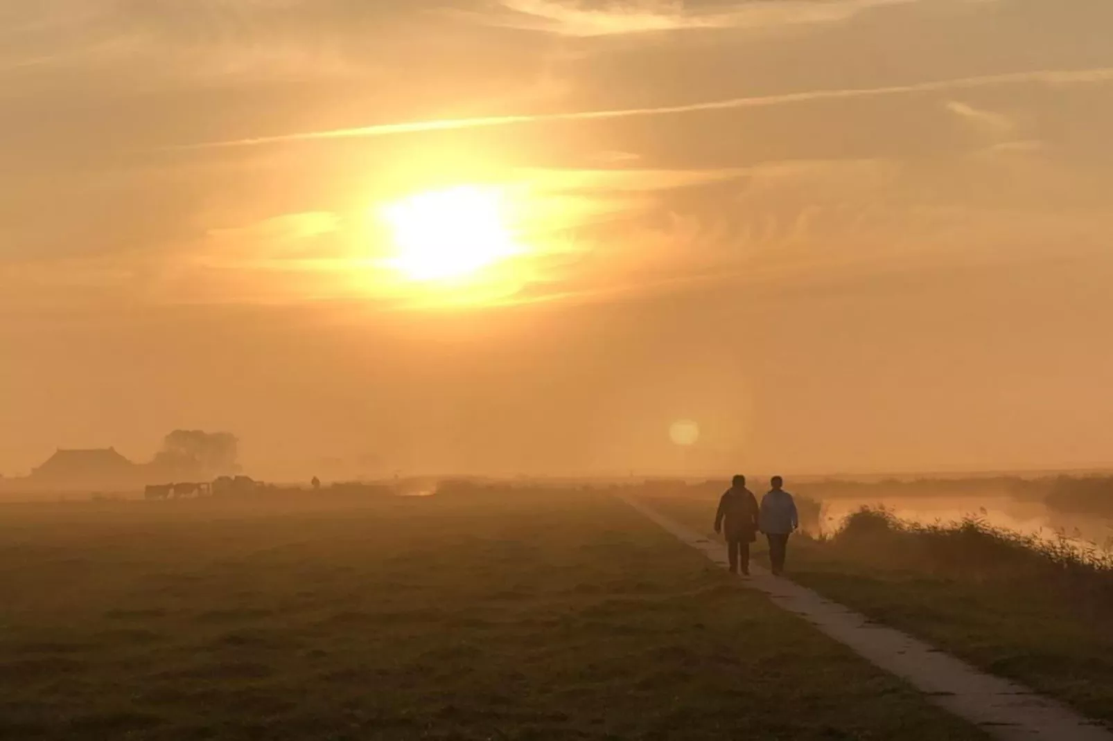 Pronkkeamer Skrins-Gebieden zomer 5km