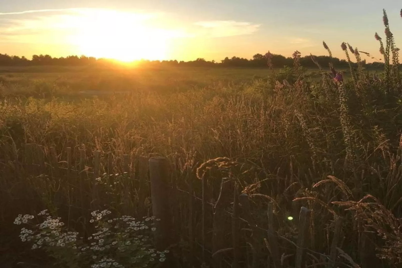 Chalet Klaske-Gebieden zomer 20km