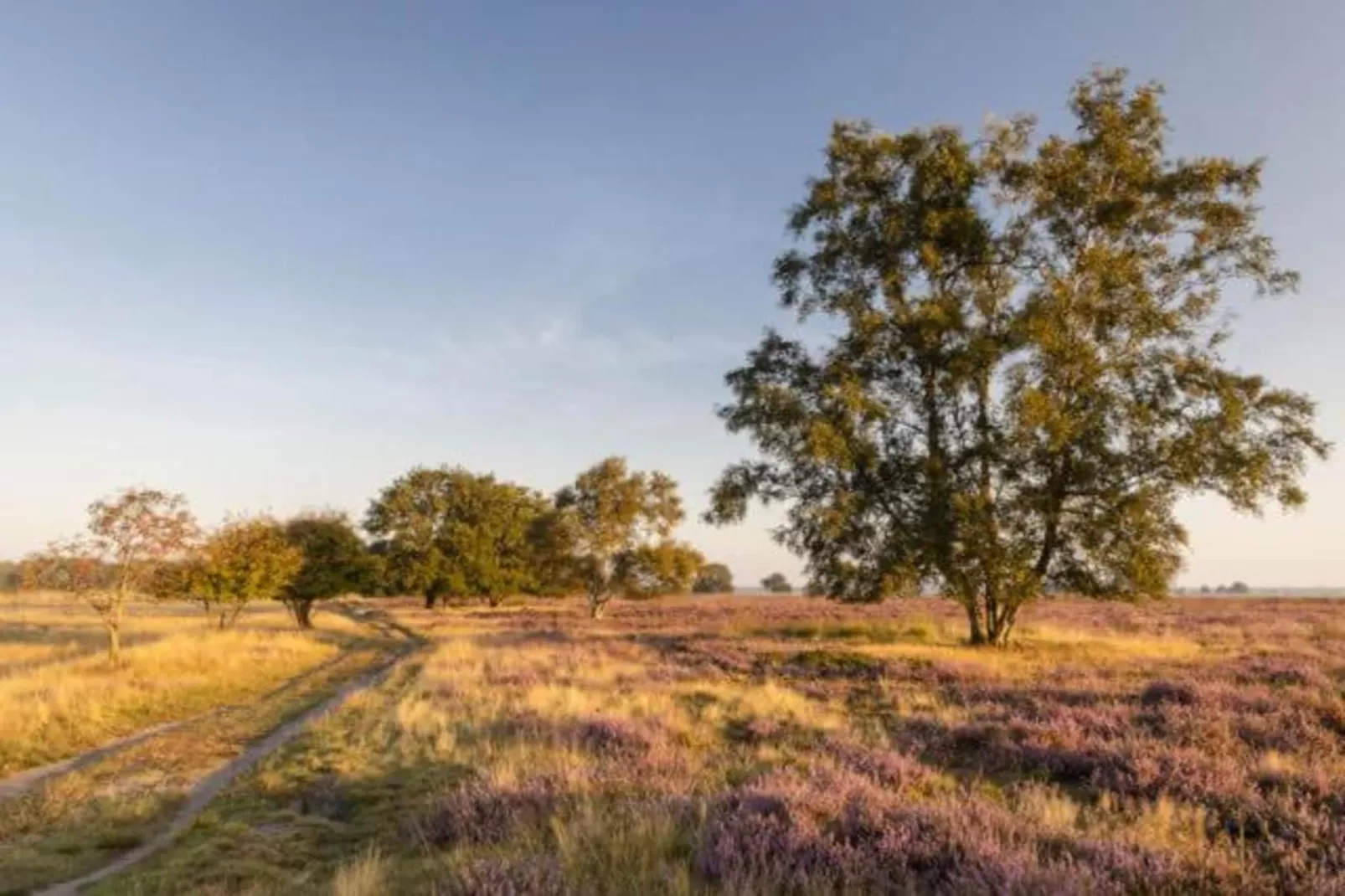 Bospark Lunsbergen 7-Gebieden zomer 20km