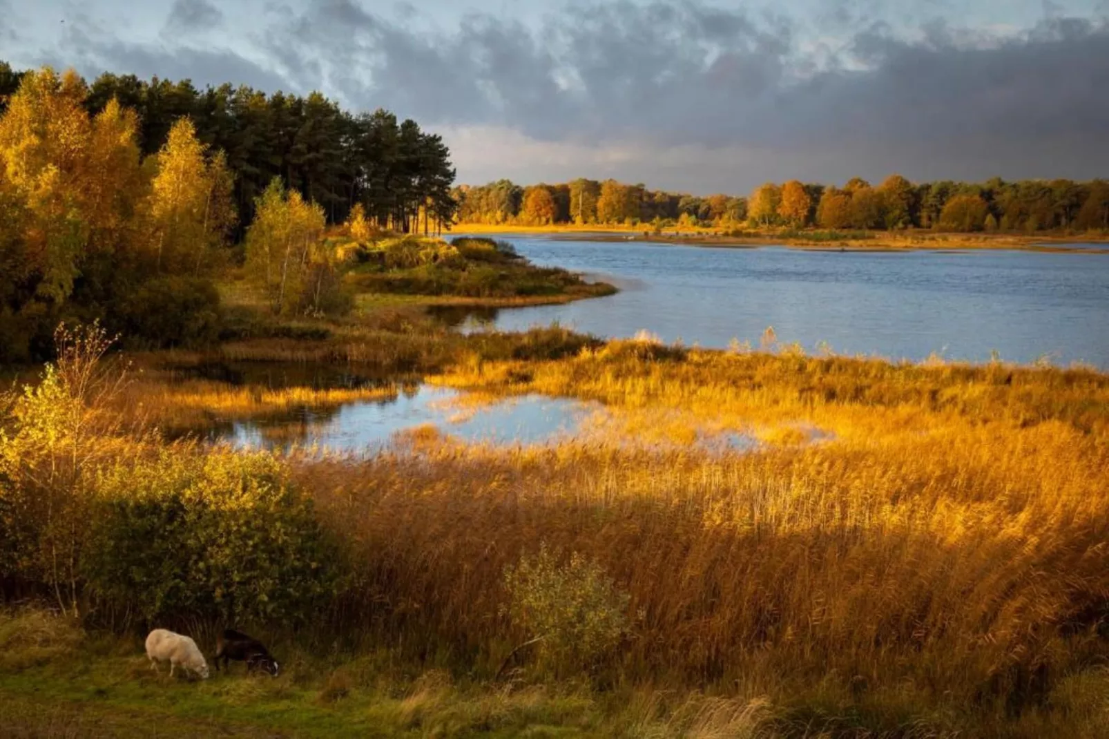 Vakantiepark Hunzedal 15 - Gebieden zomer 20km