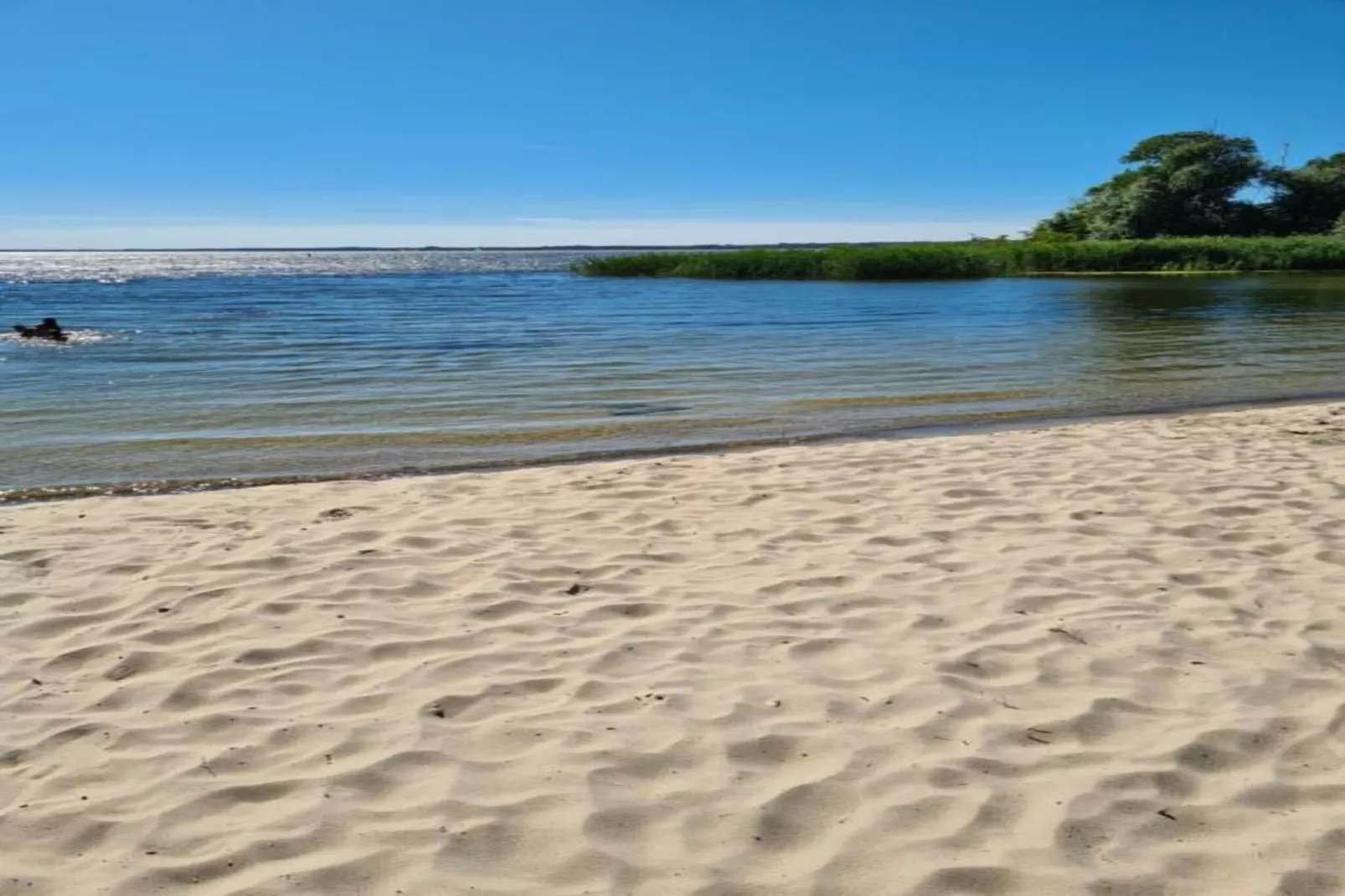 Kreacja Pajka Patrycja Pyrka-Gebieden zomer 20km