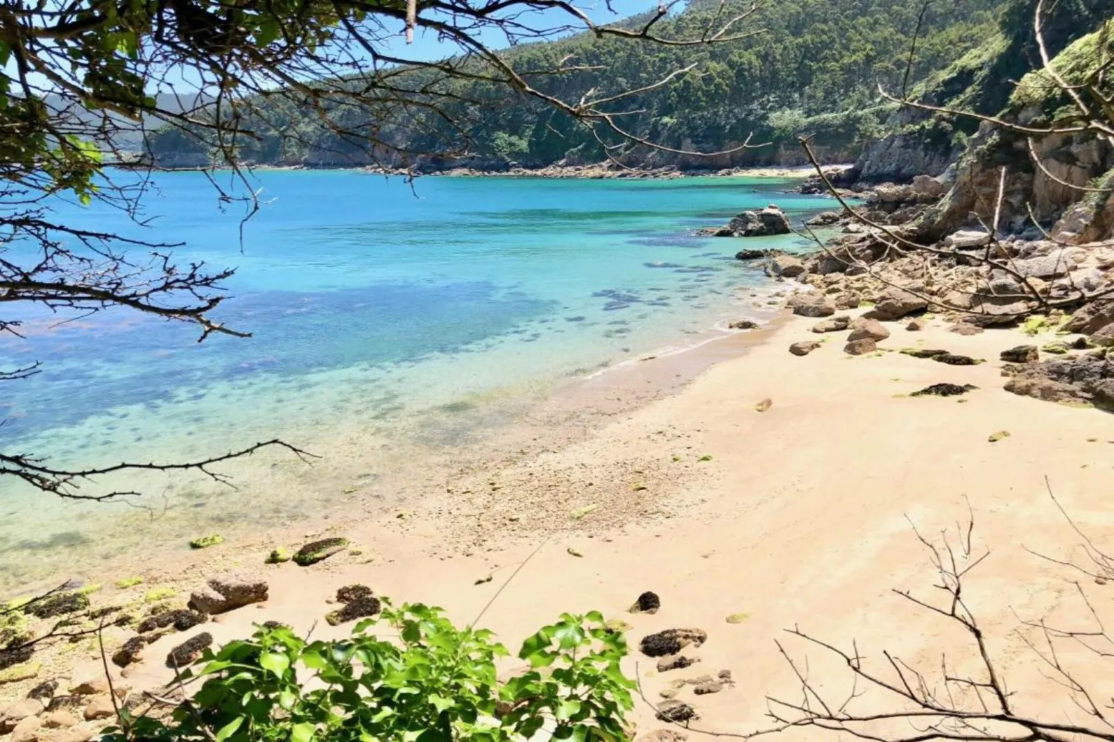 Quinta do Couto-Gebieden zomer 20km