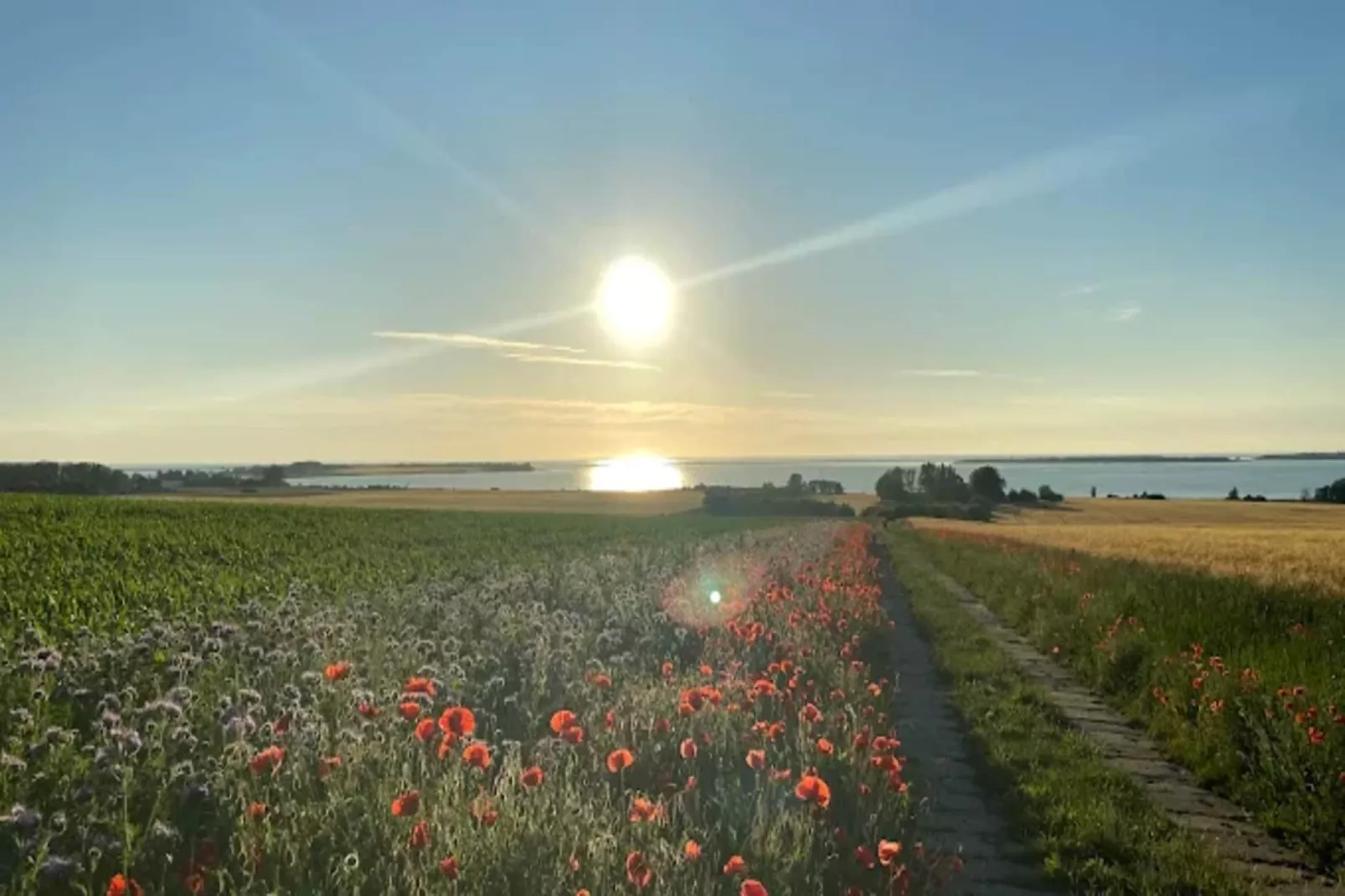 Bungalow Andrea am Salzhaff mit Garten-Gebieden zomer 5km