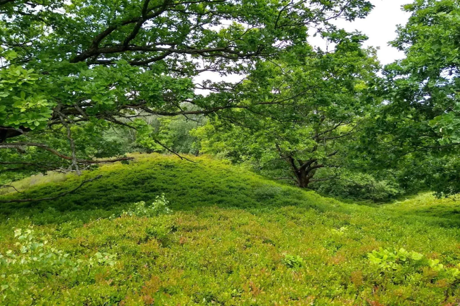 6 persoons vakantie huis in Silkeborg-By Traum-Niet-getagd