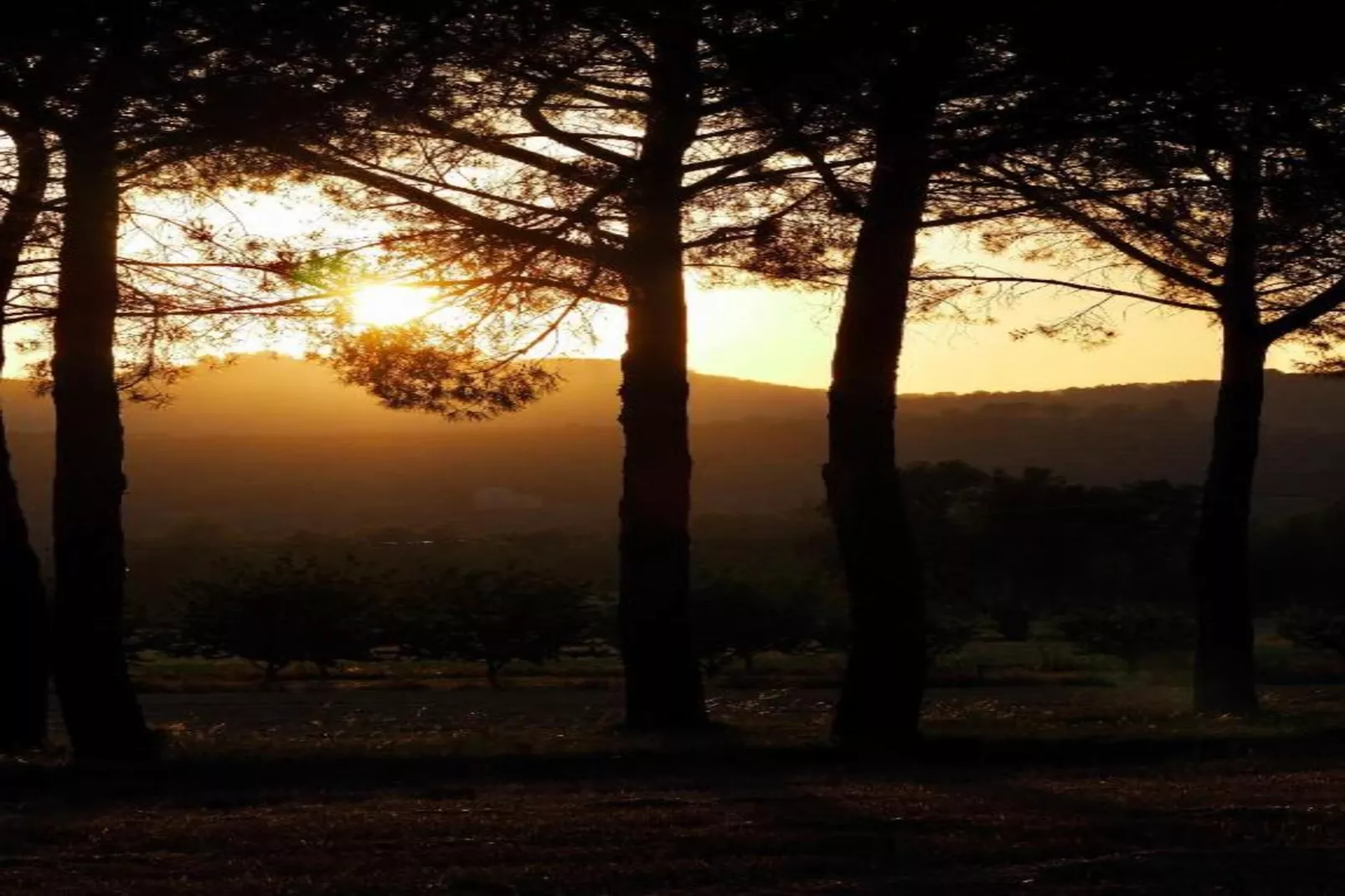 Frantoio 2-Gebieden zomer 5km