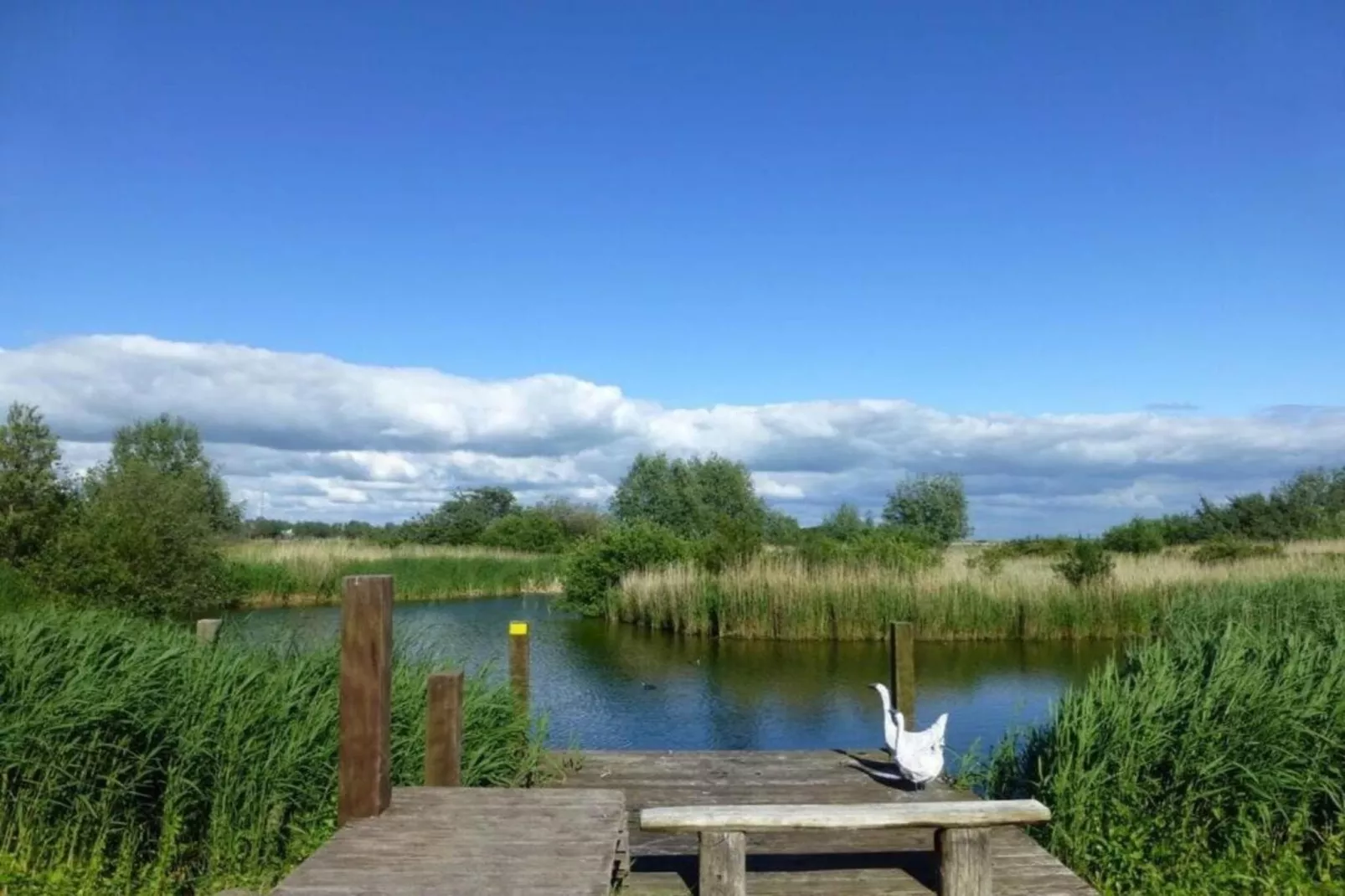 Beach Resort Makkum 29-Gebieden zomer 5km