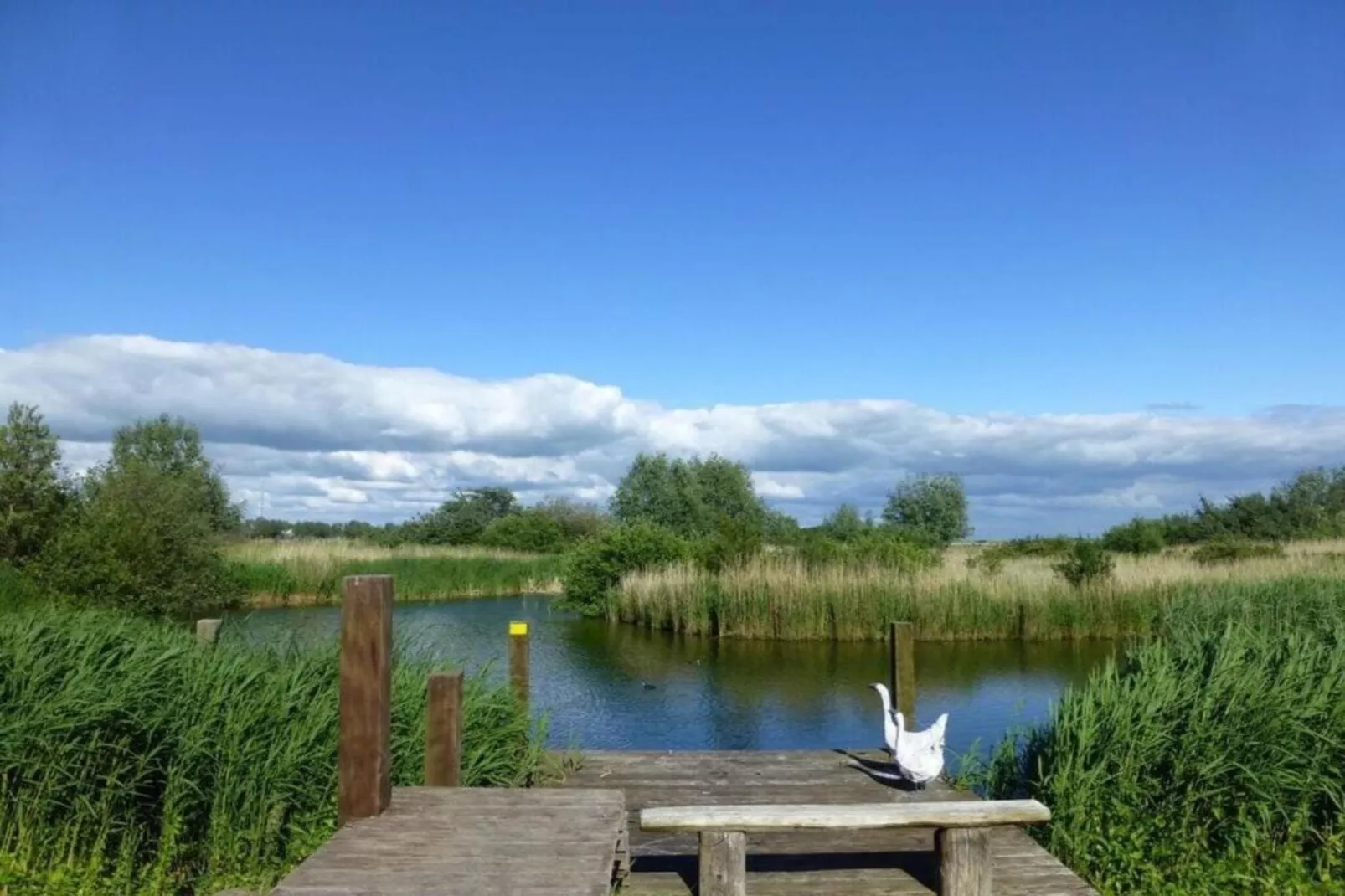 Beach Resort Makkum 34-Gebieden zomer 5km