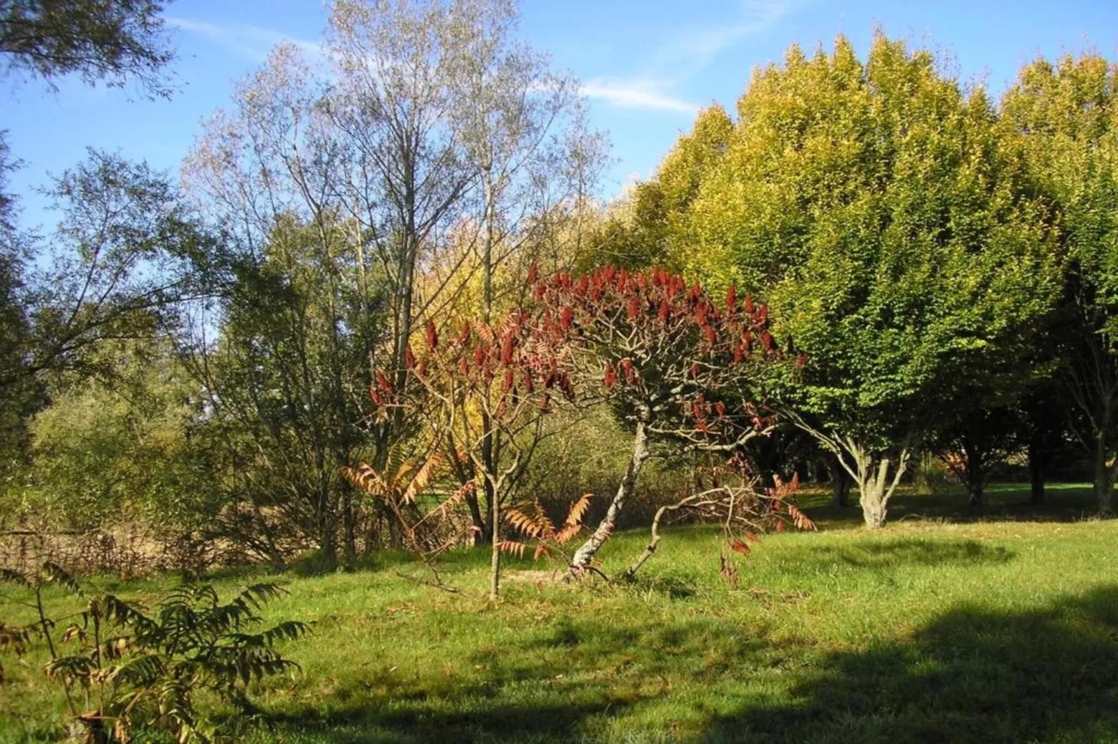 Appartement avec piscine-Gebieden zomer 20km
