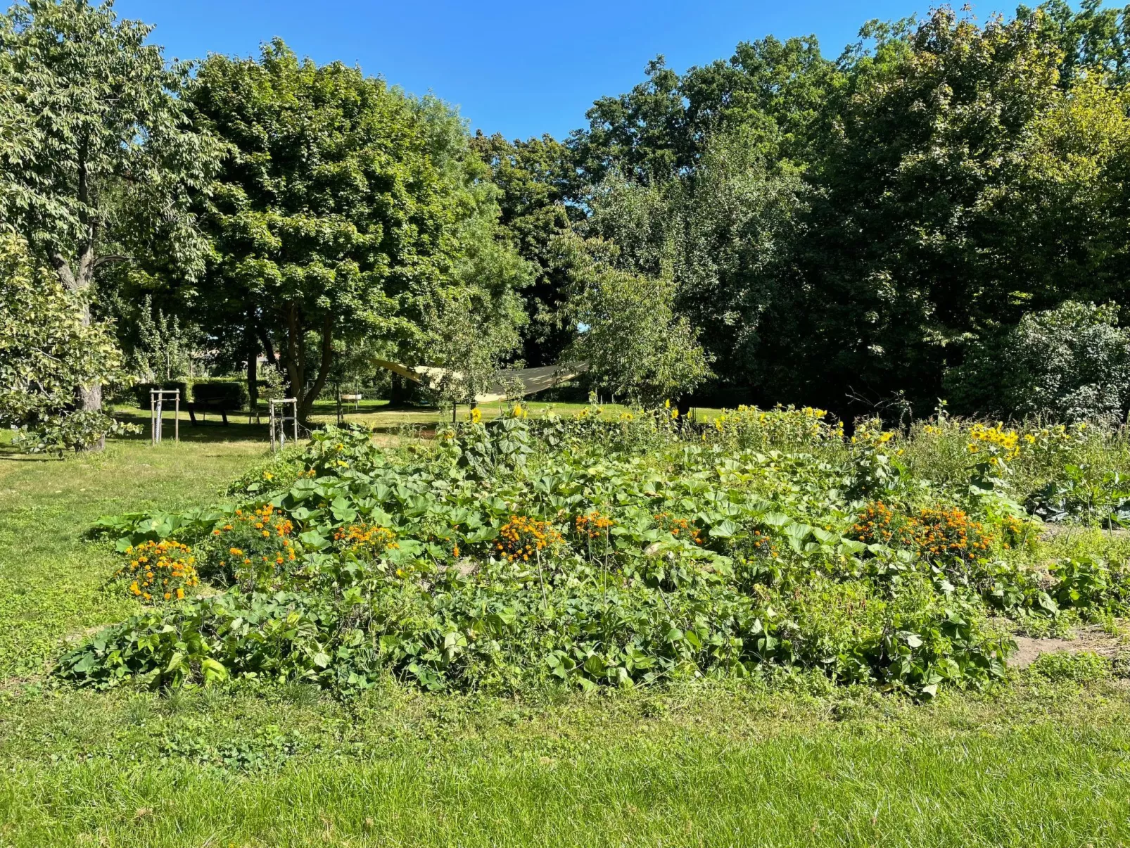 Parkblick-Buiten