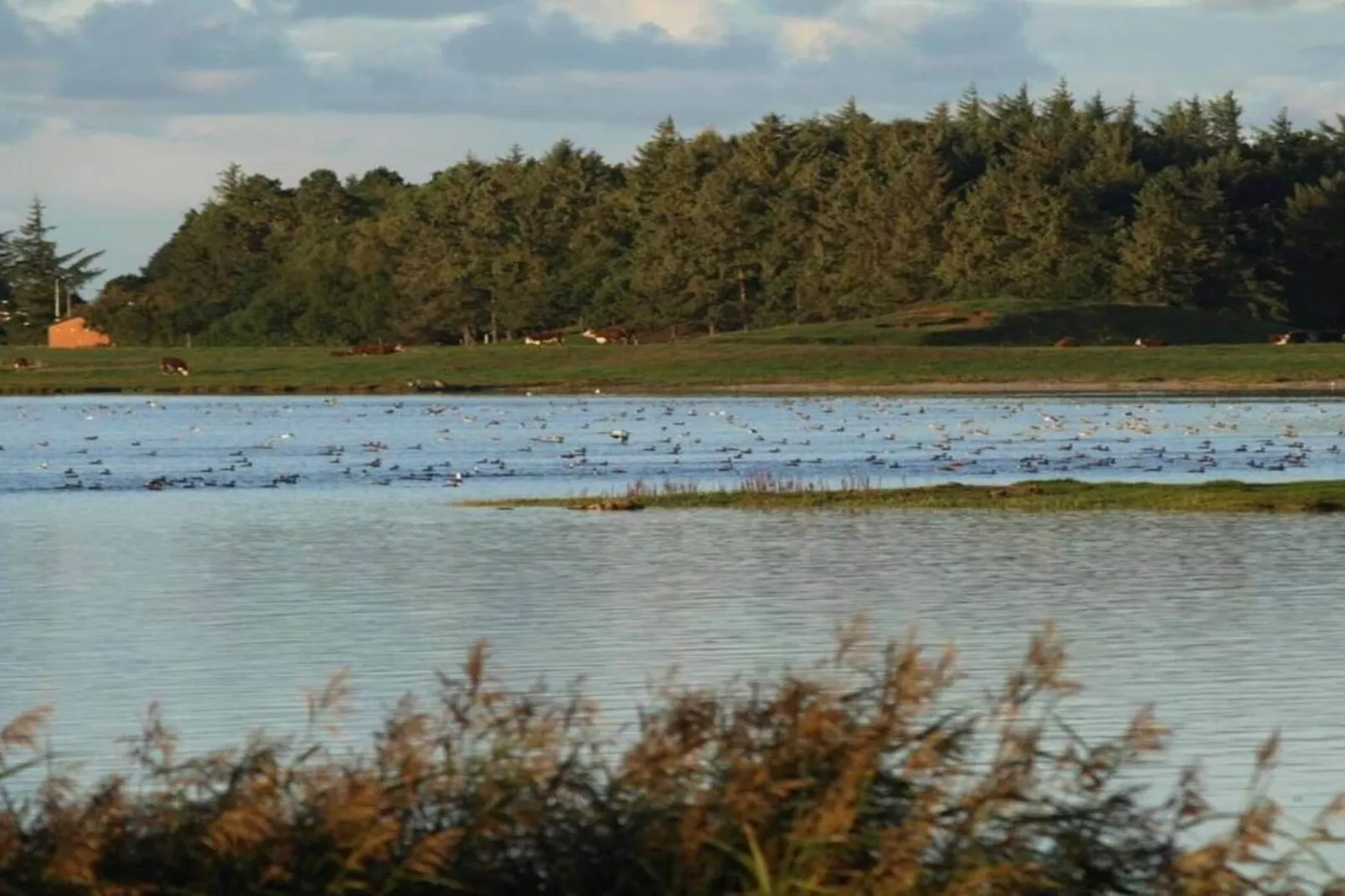 4 persoons vakantie huis in Hurup Thy-By Traum-Waterzicht