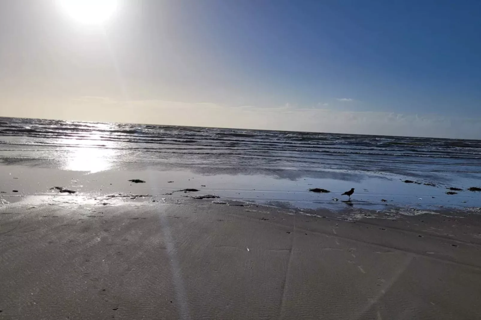 4 persoons vakantie huis in Blåvand-By Traum
