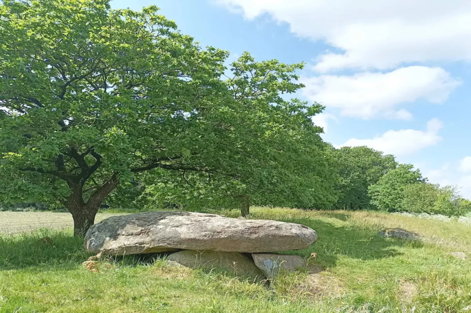 4 persoons vakantie huis in Hovborg-By Traum