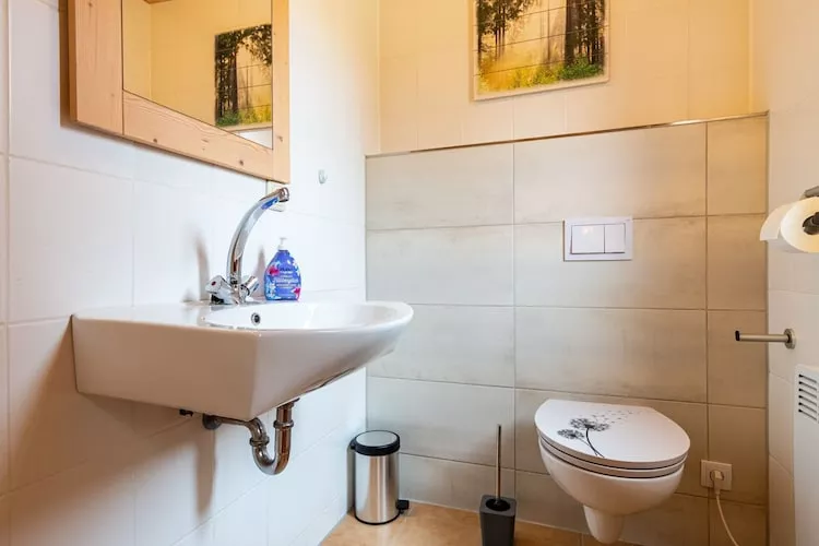 Ferienhaus in Hasselfelde - Haus 515 Auerhahn-Badkamer