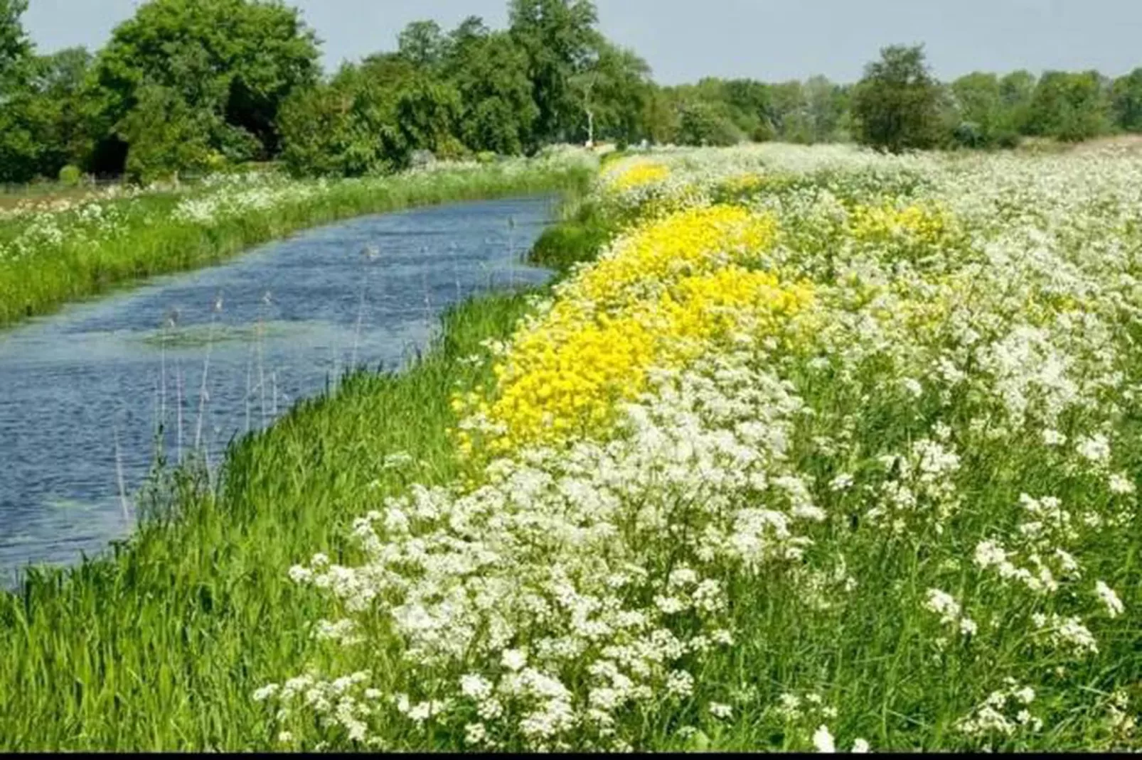 Waterstaete Ossenzijl 4-Gebieden zomer 20km