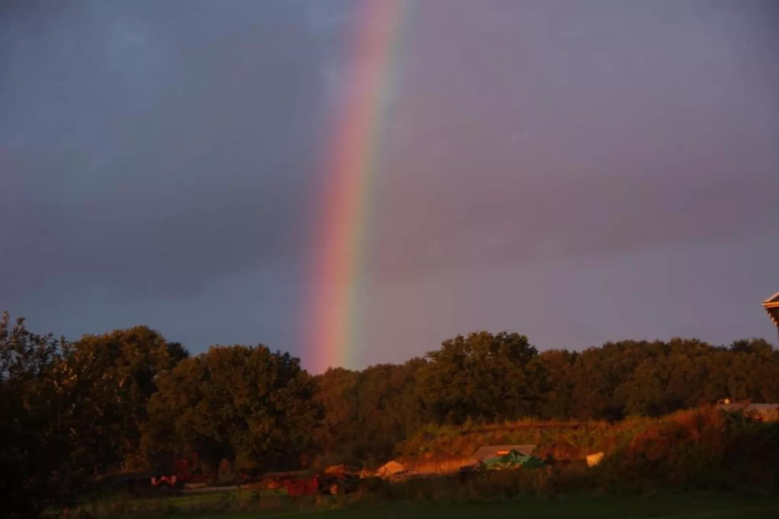 De Kerkereed-Gebieden zomer 20km
