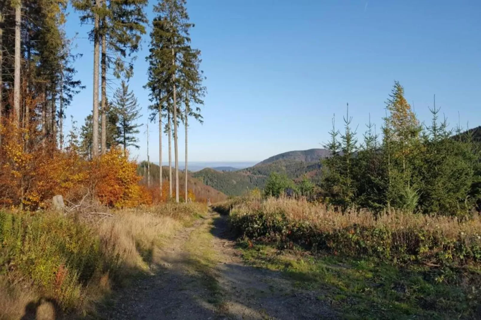Ferienwohnung Bockwiese-Hahnenklee-Gebieden zomer 20km