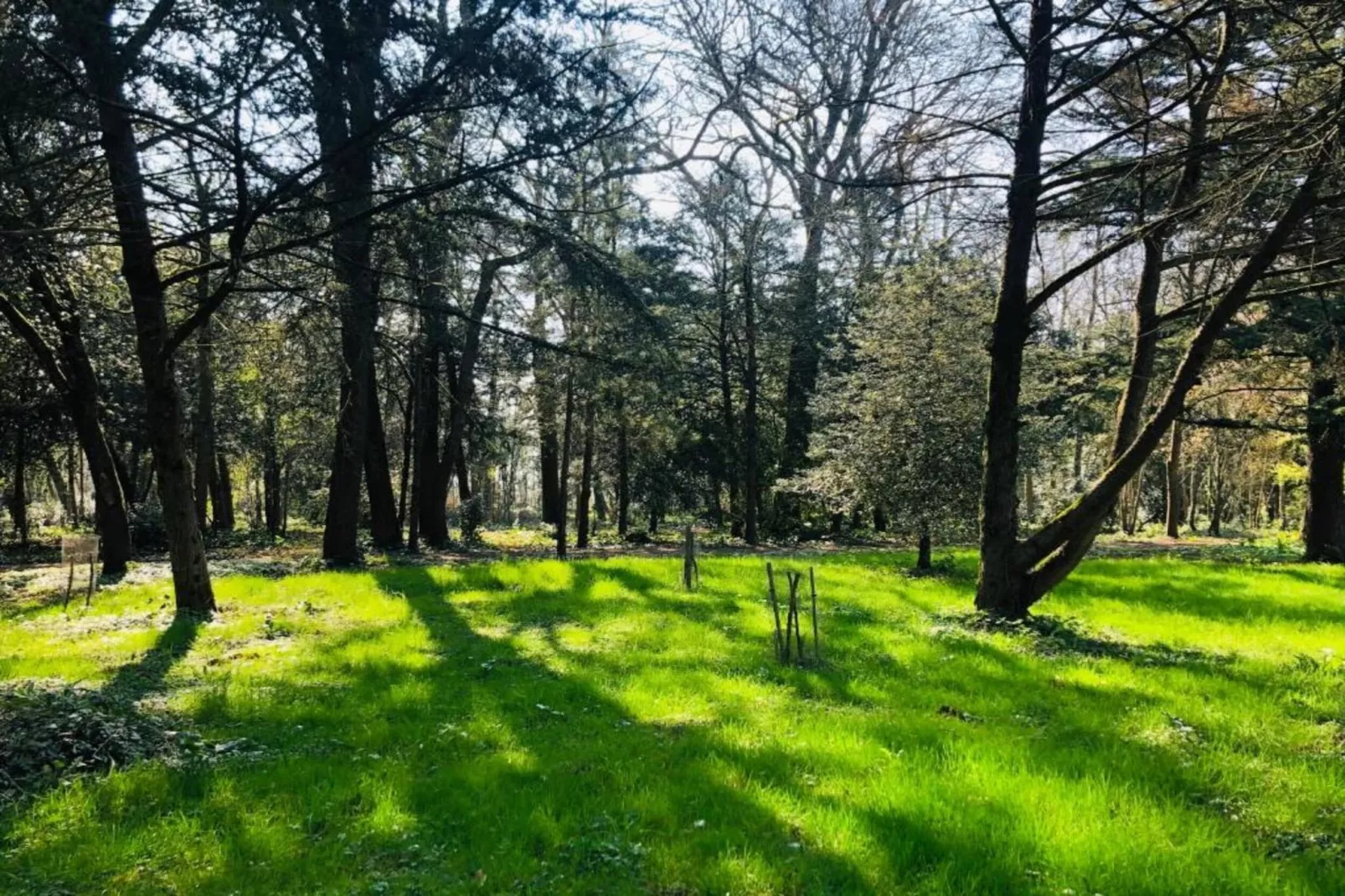 Villa Ravel-Gebieden zomer 5km