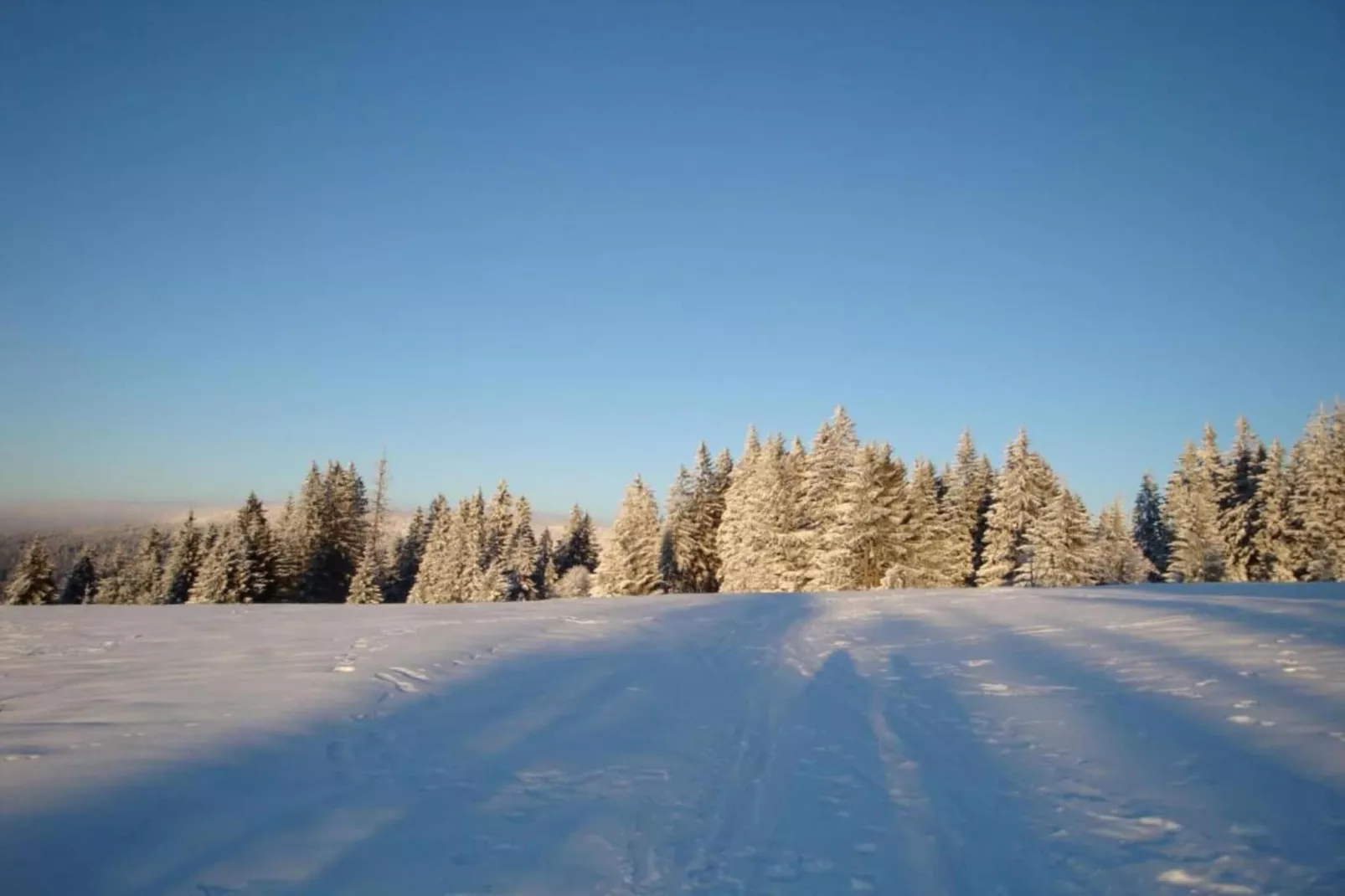 Ferienwohnung Gottschalk Beilngries-Gebied winter 20km