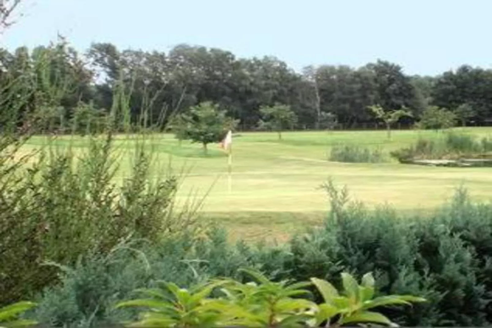 Ferienresort Bad Bentheim 27-Gebieden zomer 20km