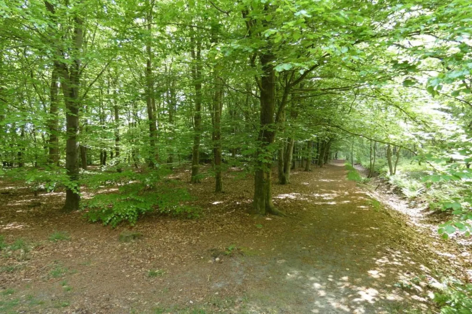 Resort Strandheem 2-Gebieden zomer 20km